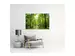 Digitaldruck auf Acrylglas Waldweg image LAND / Grösse: 150 x 100 cm