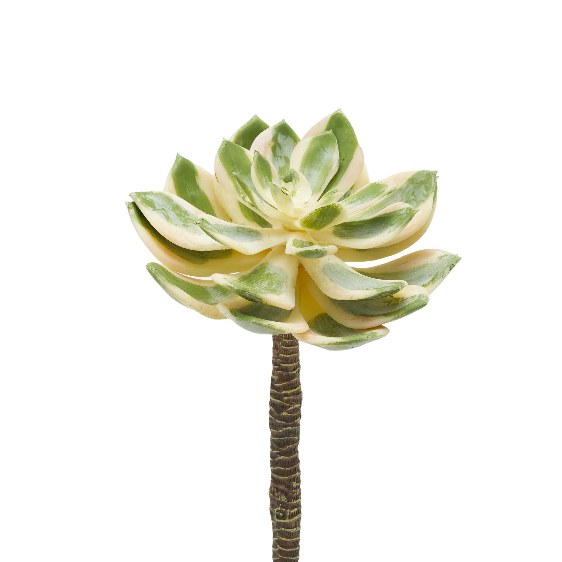 Edg Kunstblume Rosettendickblatt D: 16 cm  | Schubiger Möbel