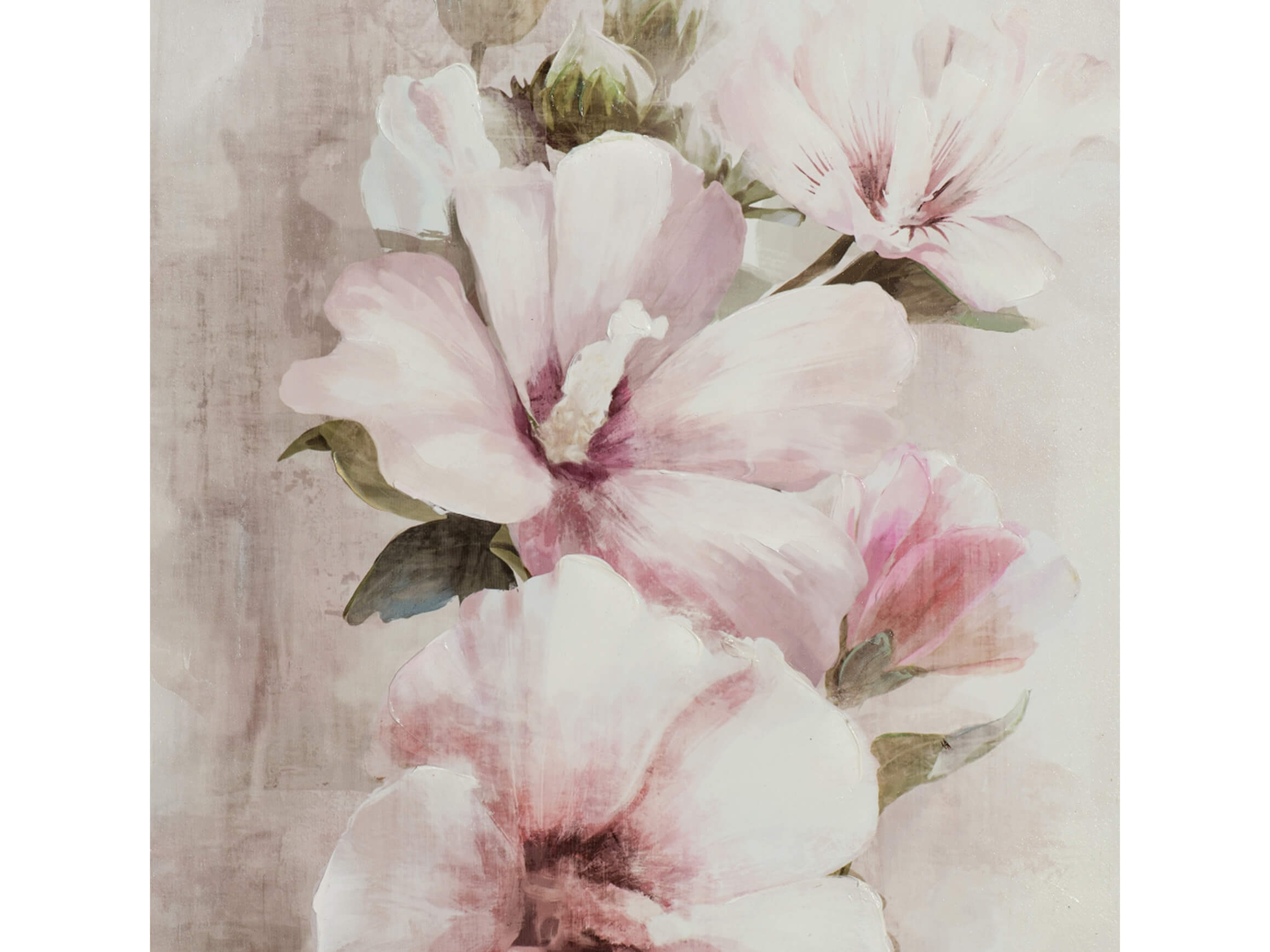 Bild Zarte Rosa Blüten image LAND