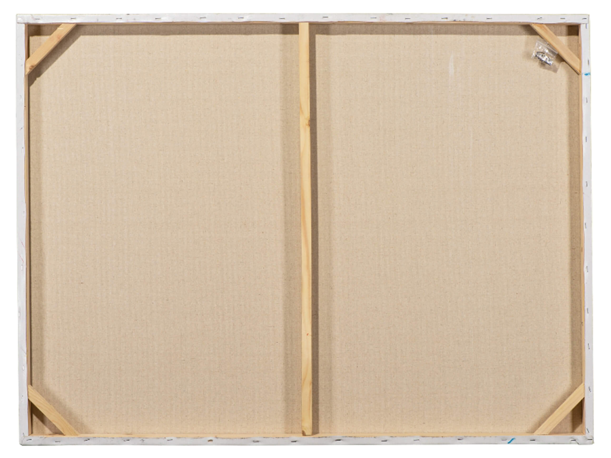 Bild Fliegender Elefant image LAND