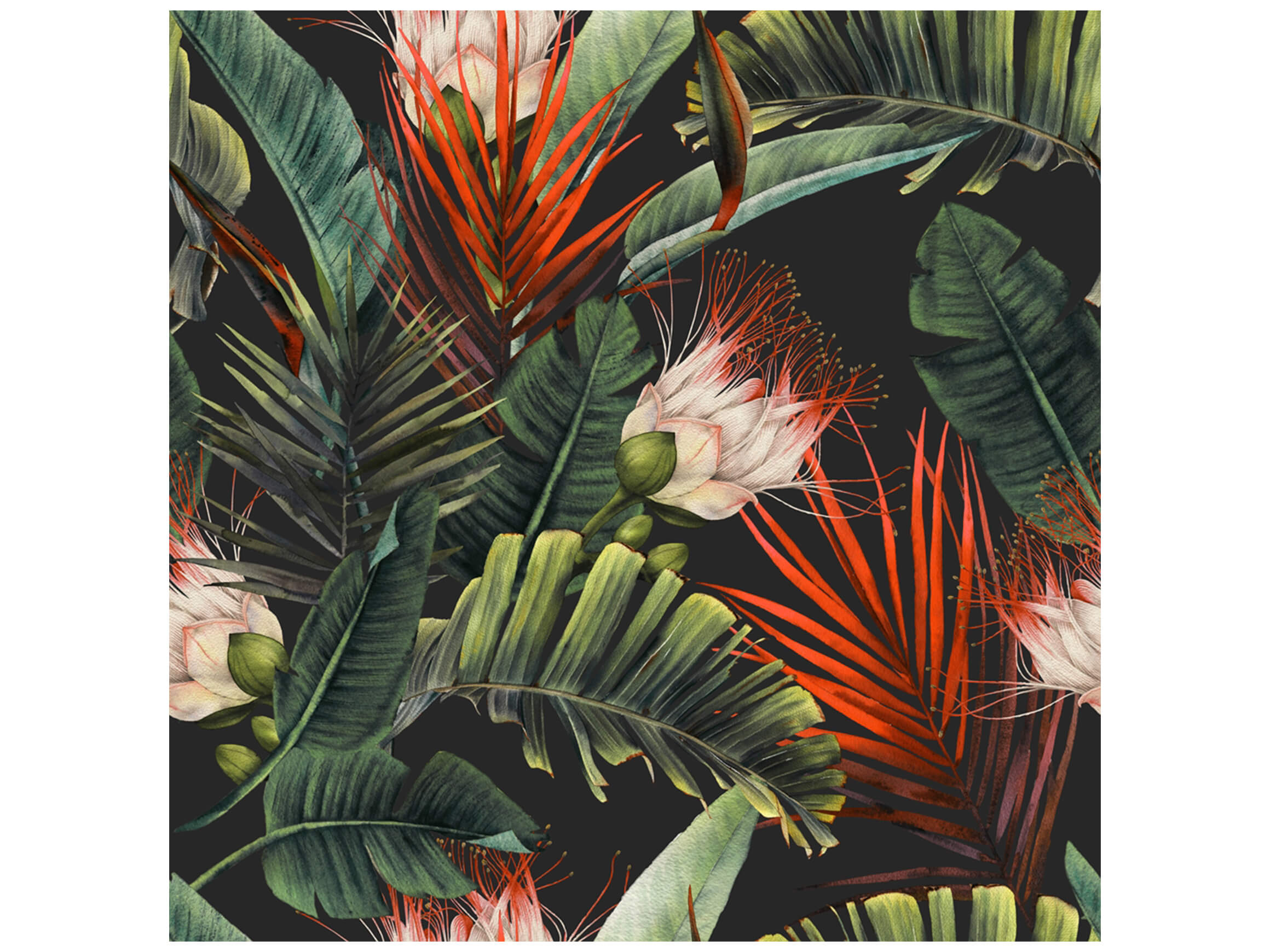 Digitaldruck auf Glas Blüten Aus Dem Dschungel image LAND