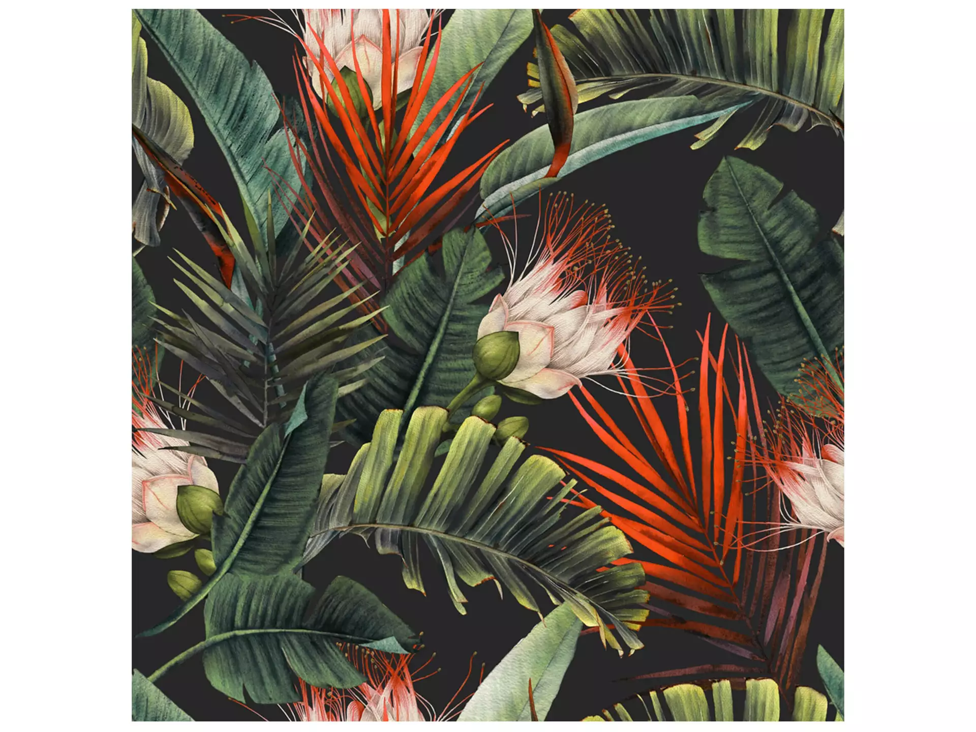 Digitaldruck auf Glas Blüten Aus Dem Dschungel image LAND