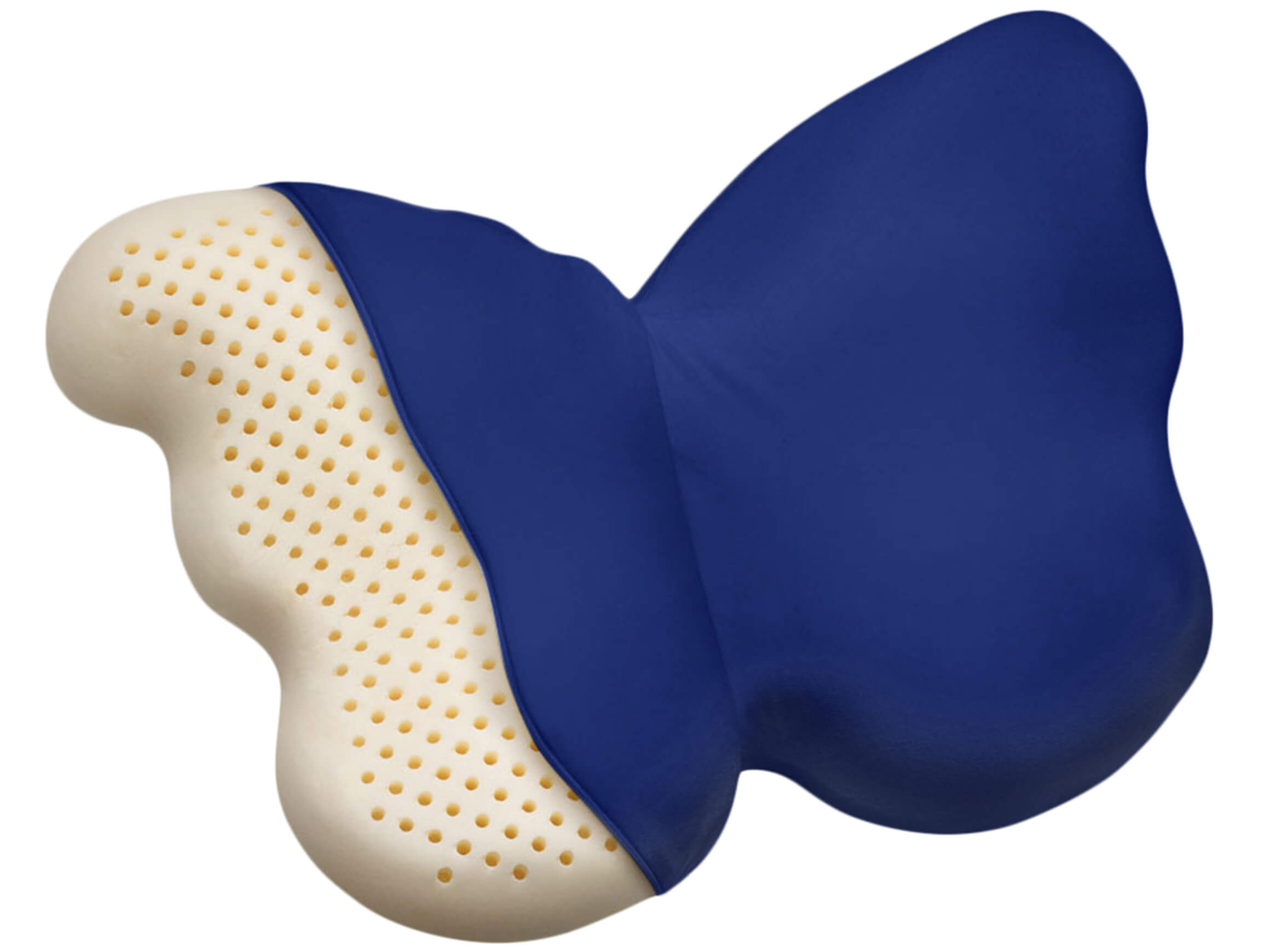 Kissenbezug Papillon Blau