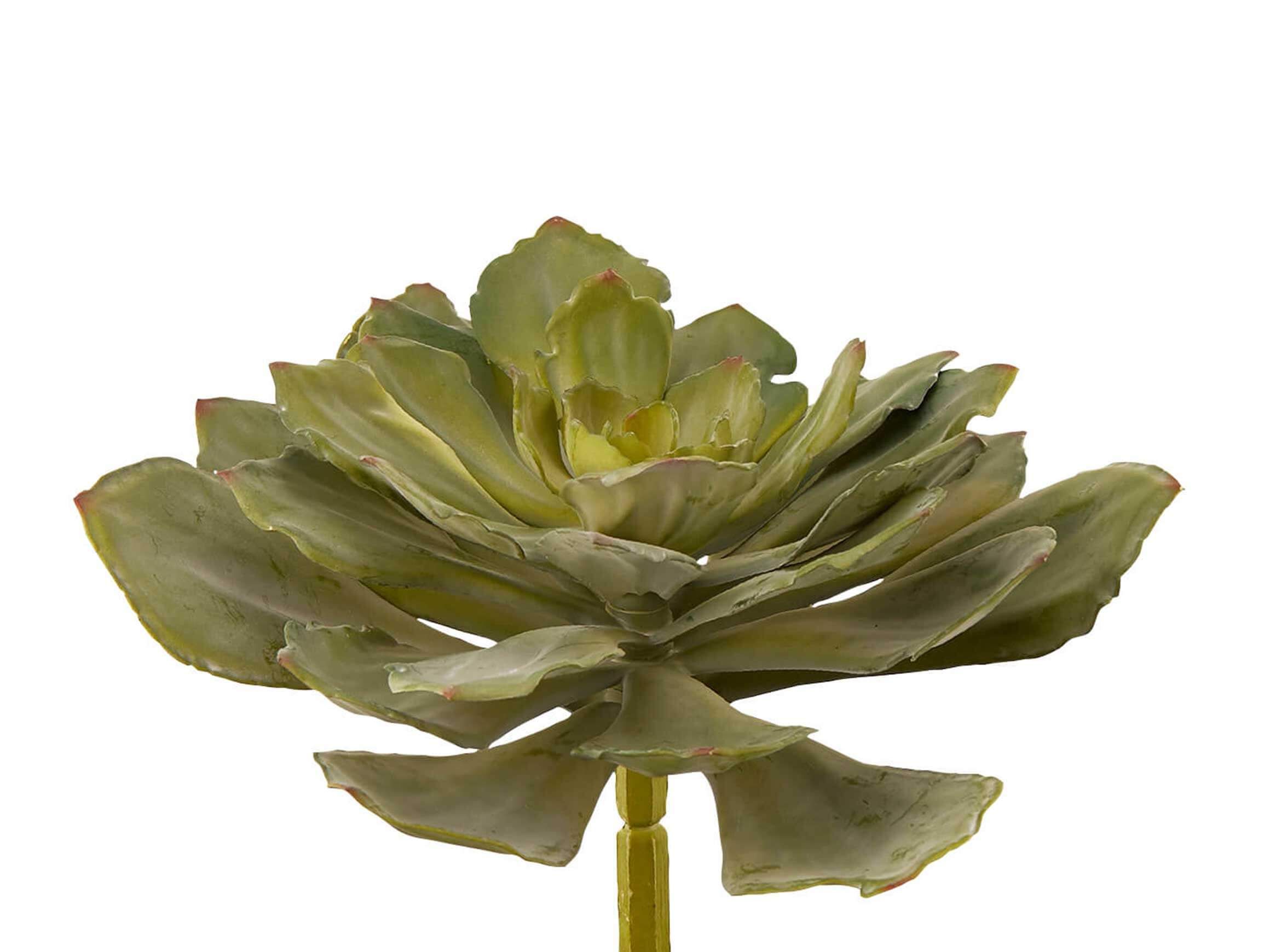 Kunstpflanze Echerverie Hellgrün d: 32 cm