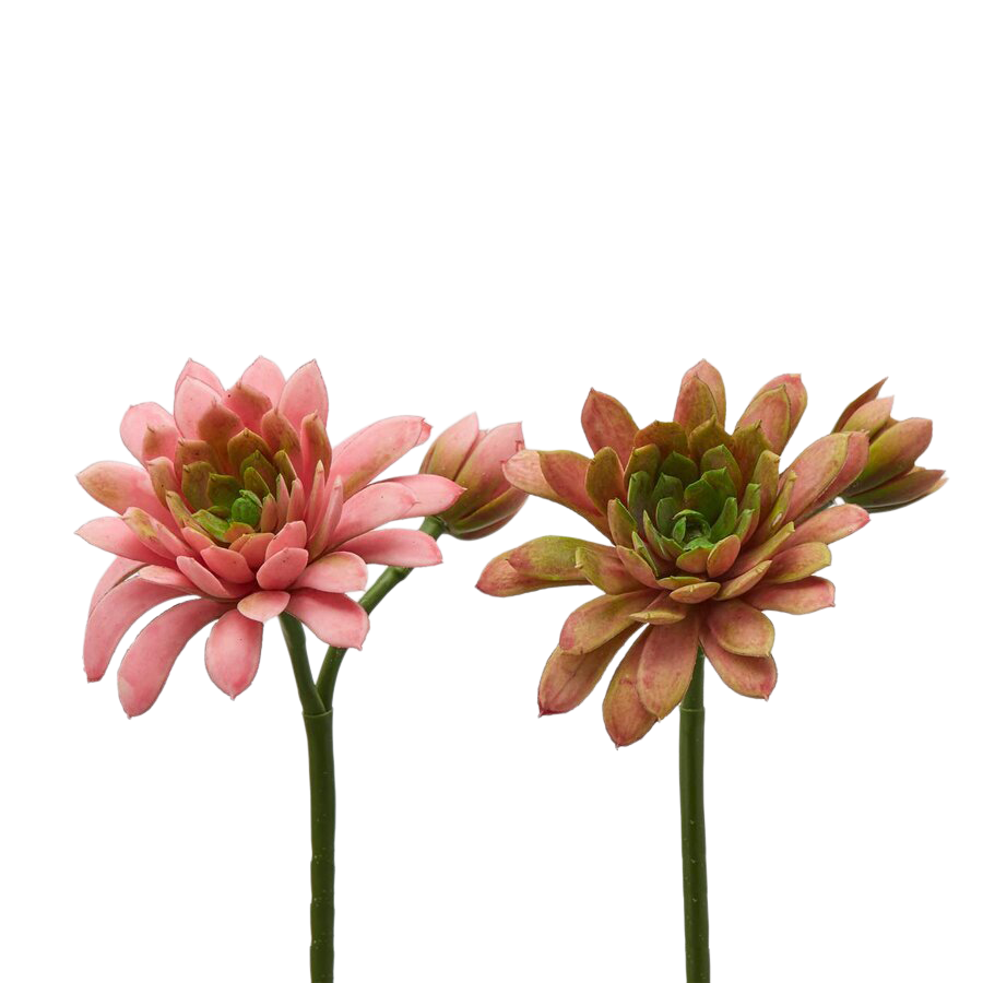 Kunstblumen Echeveria Hellrosa H: 18 cm Edg