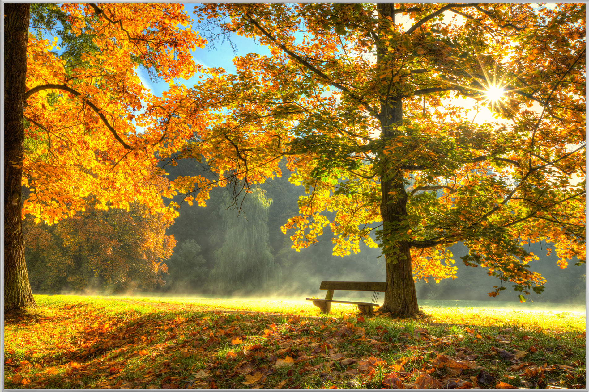 Bild mit Rahmen-Sonnenaufgang im Herbstwald-image LAND
