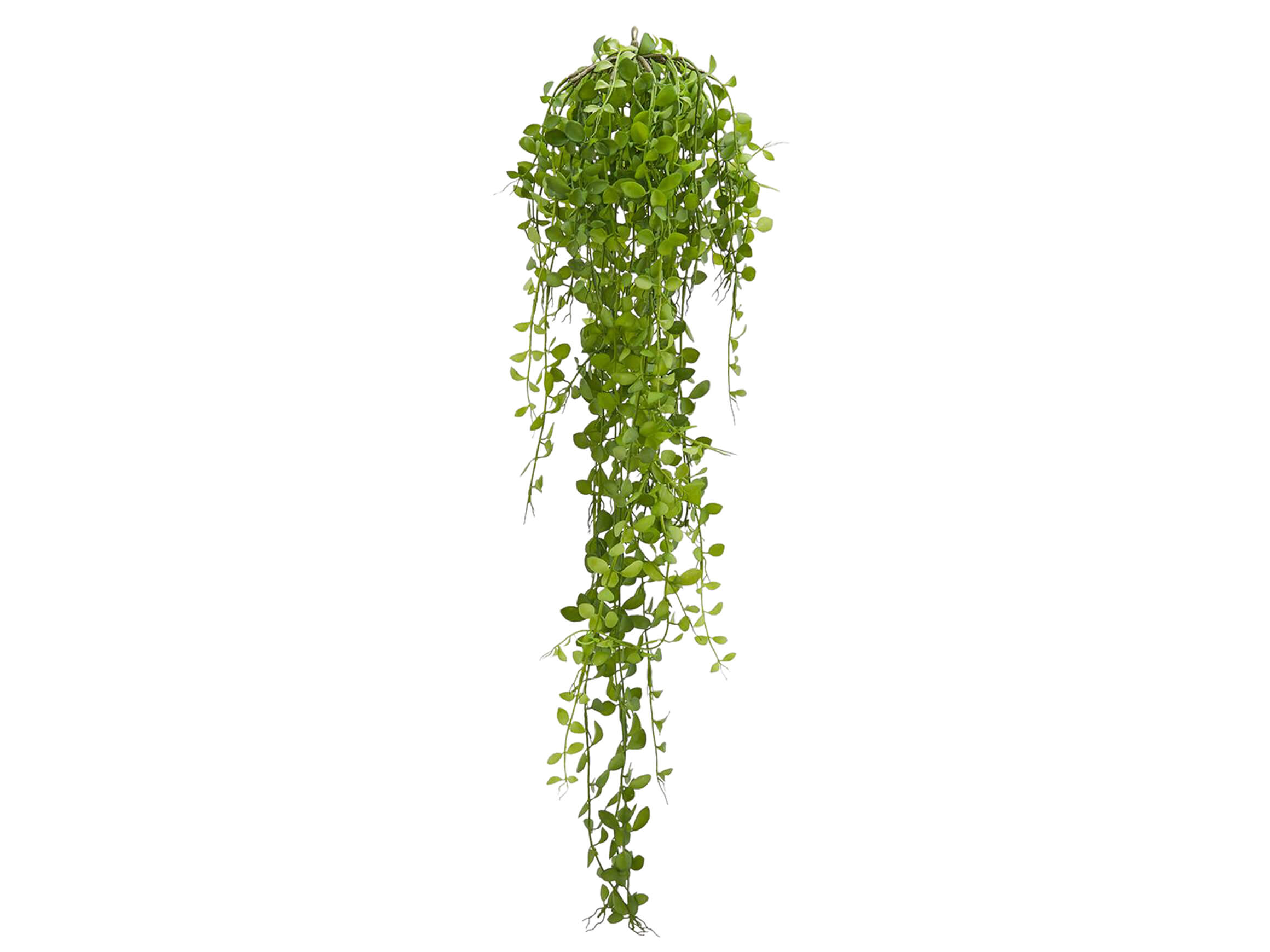 Edg Kunstblumen Hängekaktus H: 90 cm  | Schubiger Möbel