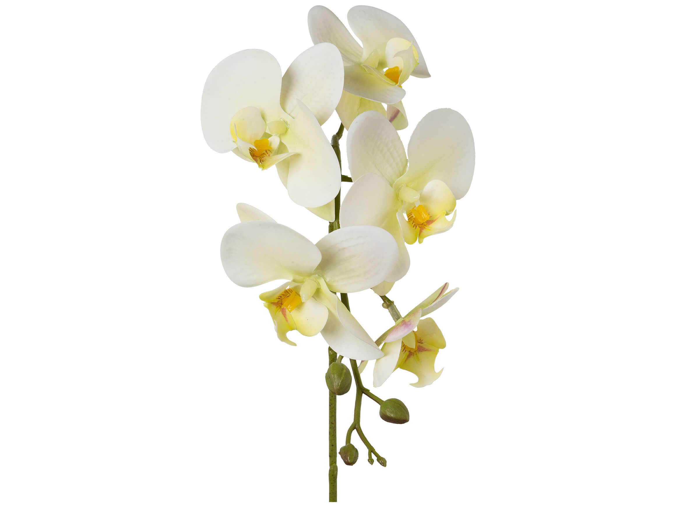Artificial flower Phalaenopsis Orchid Green H: 45 cm Gasper