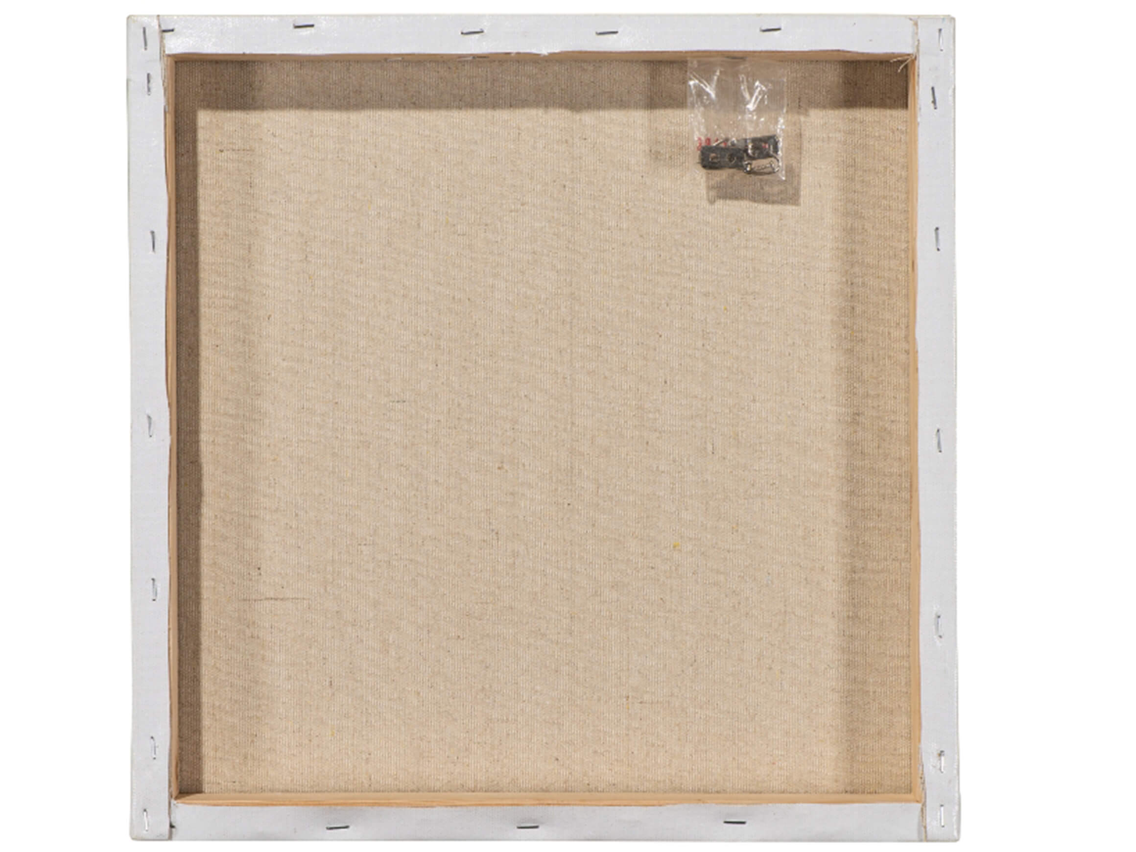 Bild Vogel mit Indianerperücke image LAND