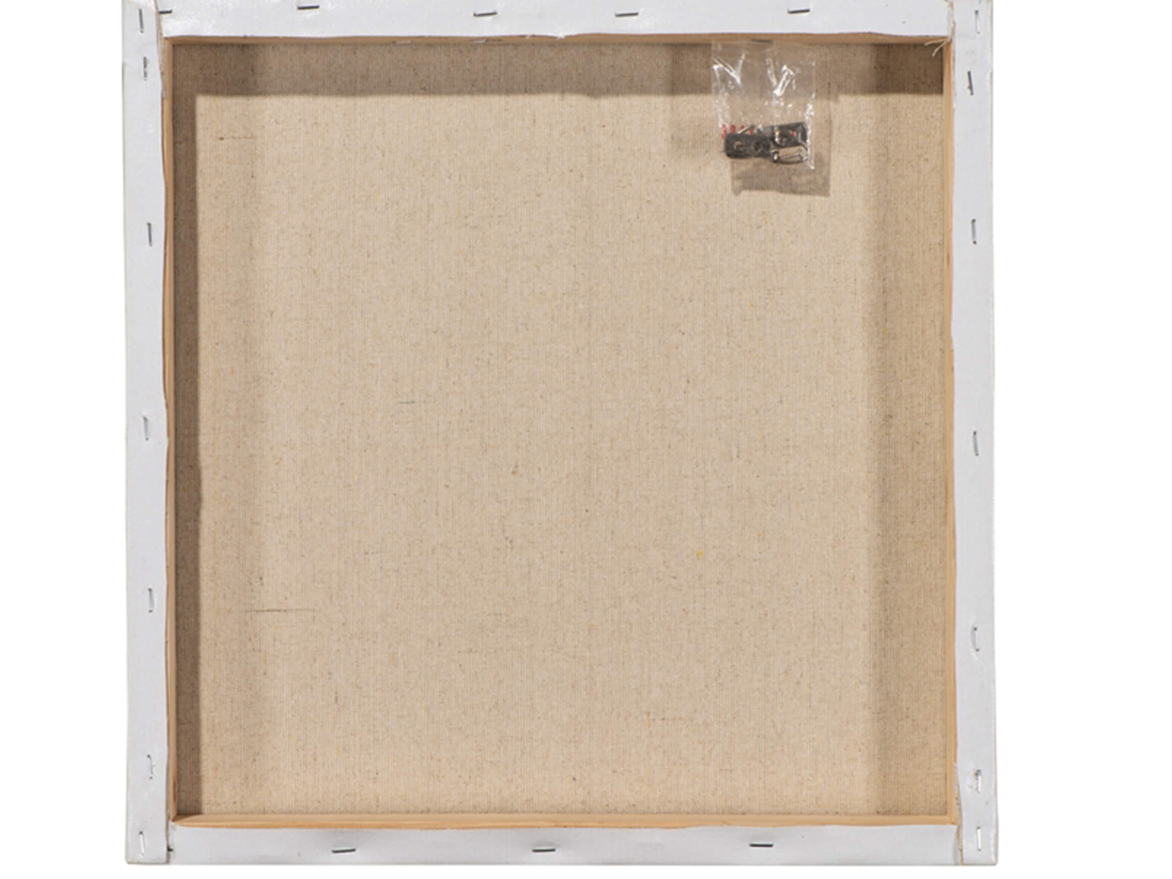 Bild Küken mit Vogelnest image LAND