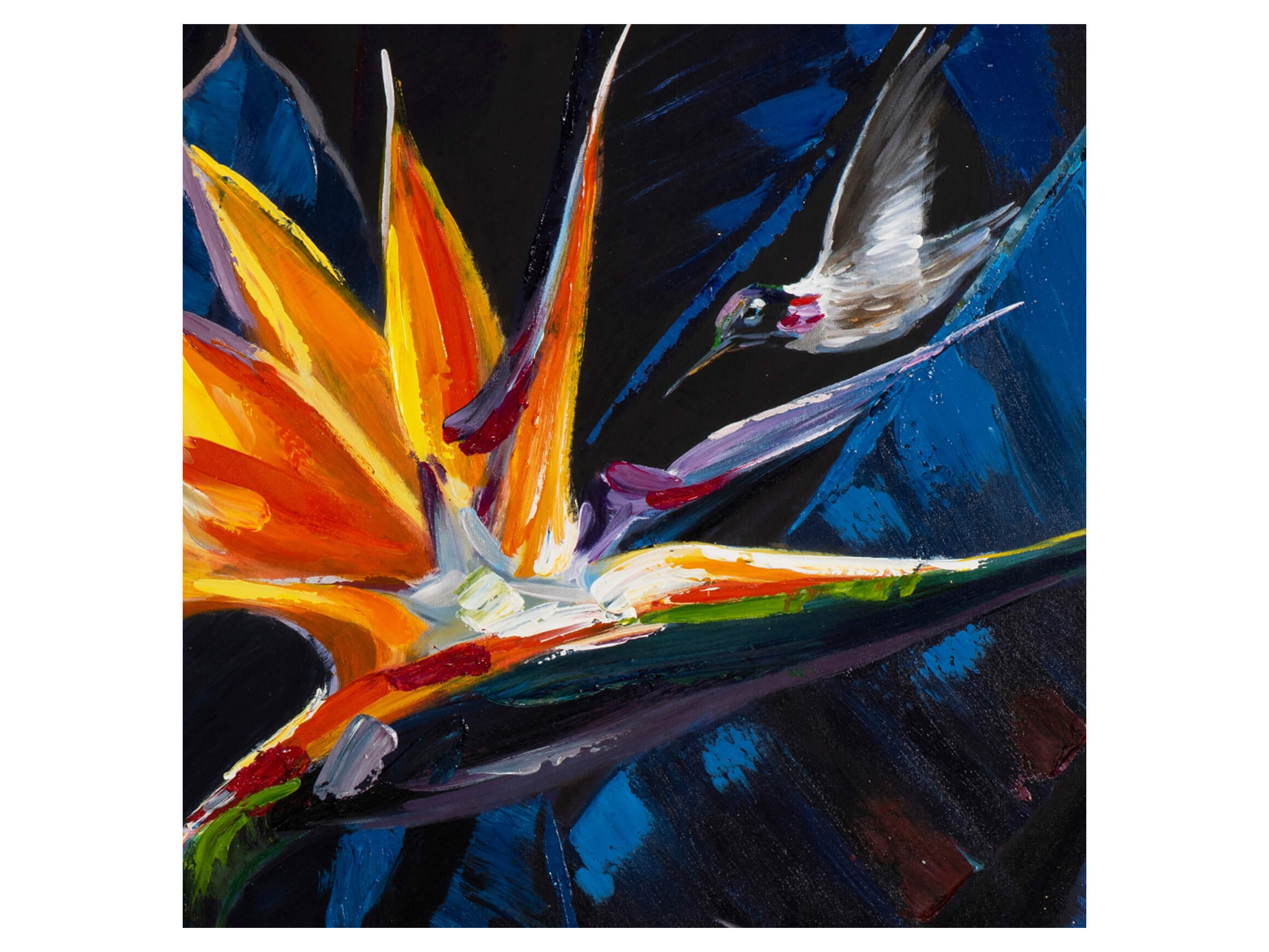 Bild Paradiesvogelblume Strelitzia image LAND