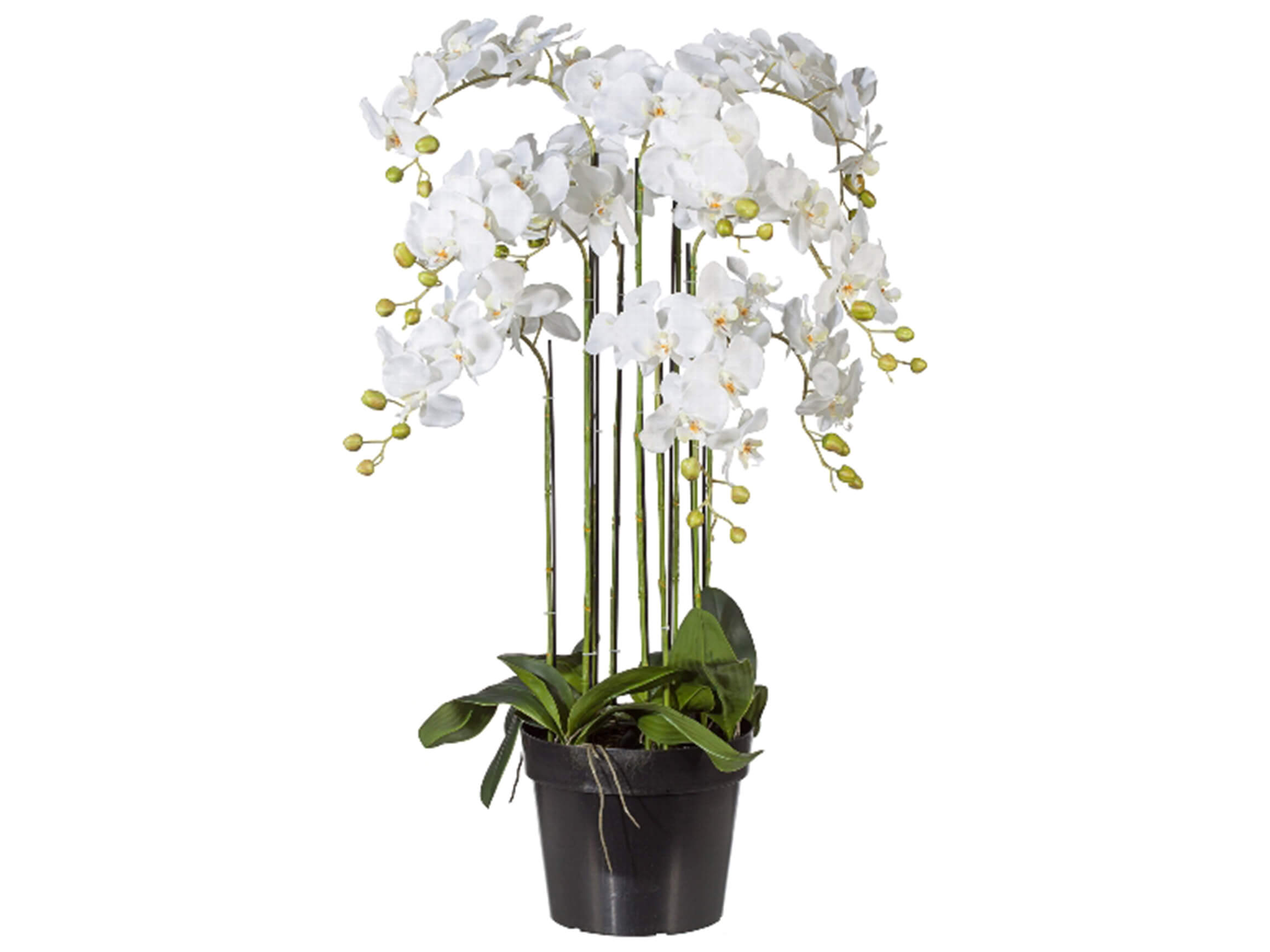 Kunstpflanze Orchidee Weiss im Topf H: 110 cm Gasper