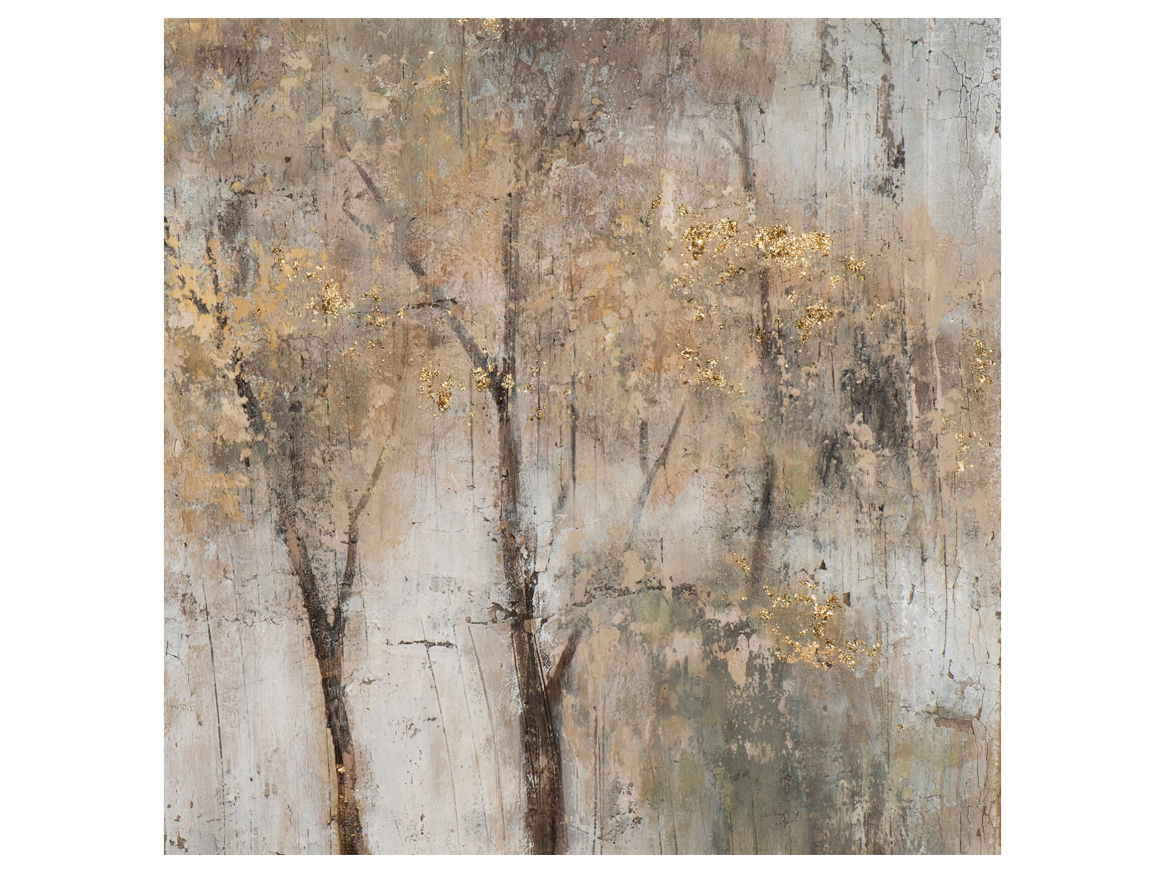 Bild Bäume im Morgengrauen 2 image LAND