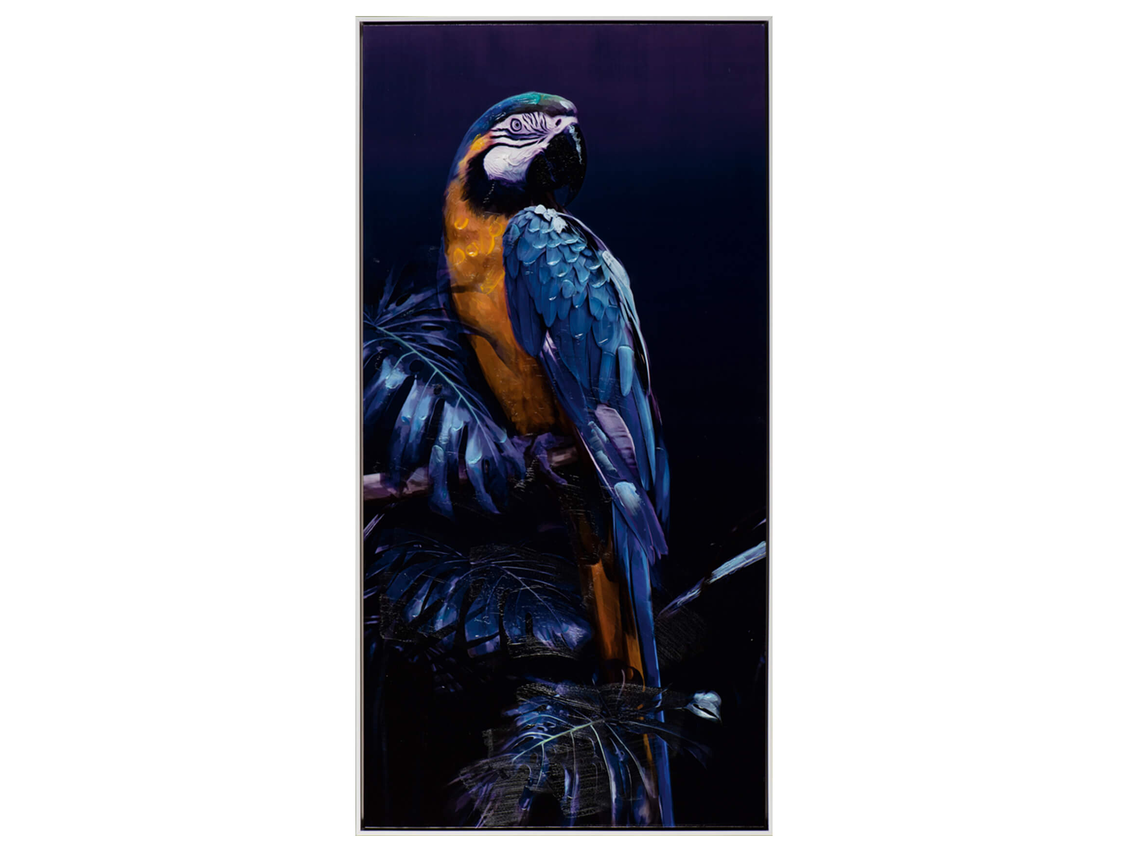 Bild Papagei in Blau 2 image LAND