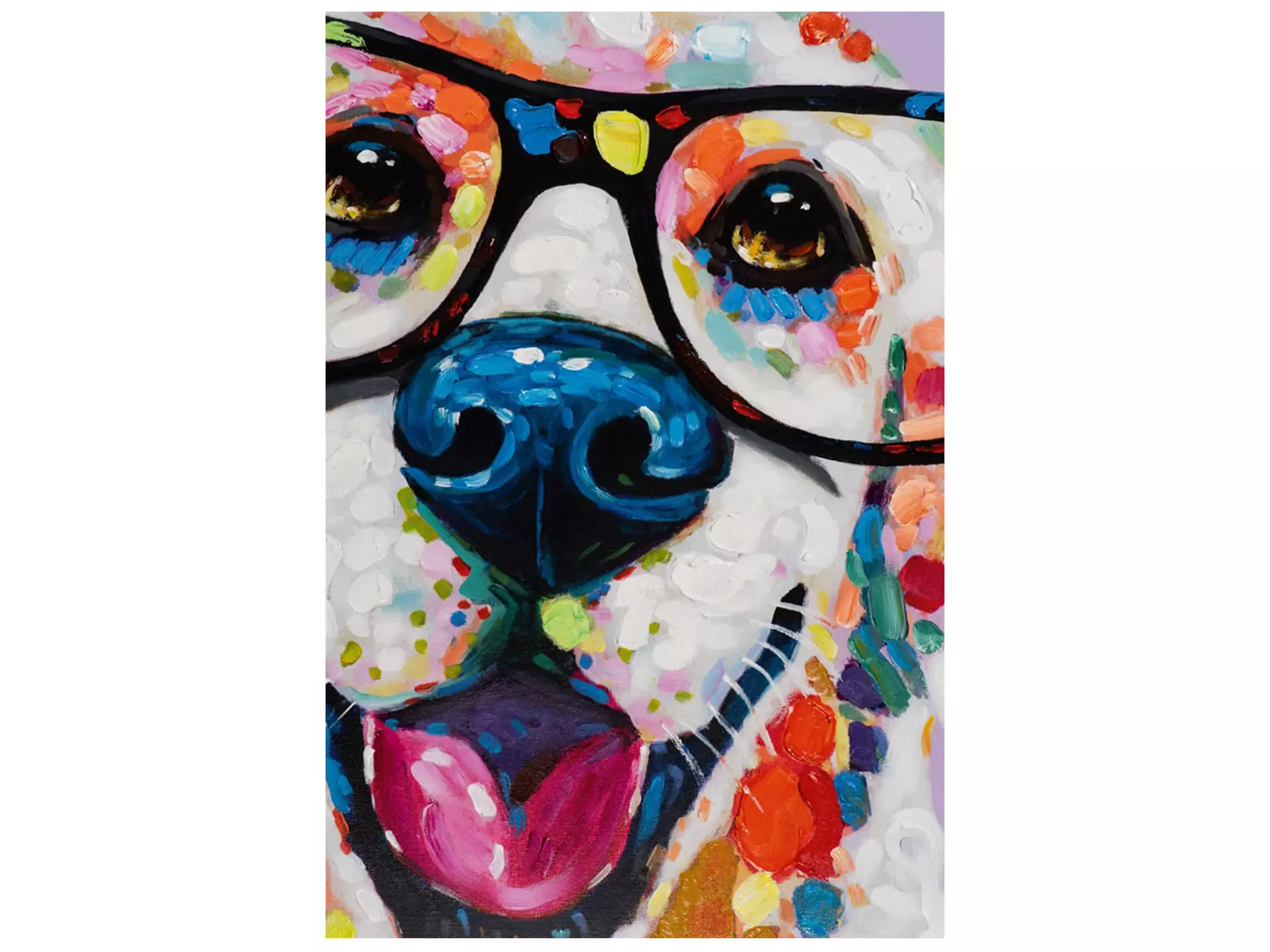 Bild Lustiger Bunter Hund mit Brille image LAND