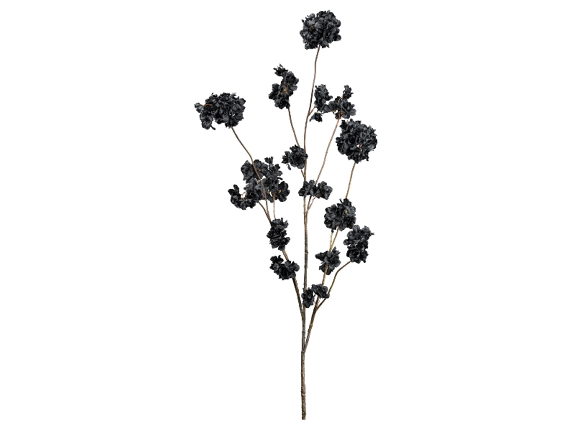 Kunstblume Blütenzweig Schwarz H: 130 cm Gasper