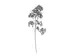 Kunstblume Blütenzweig Dunkelblau H: 100 cm Decofinder