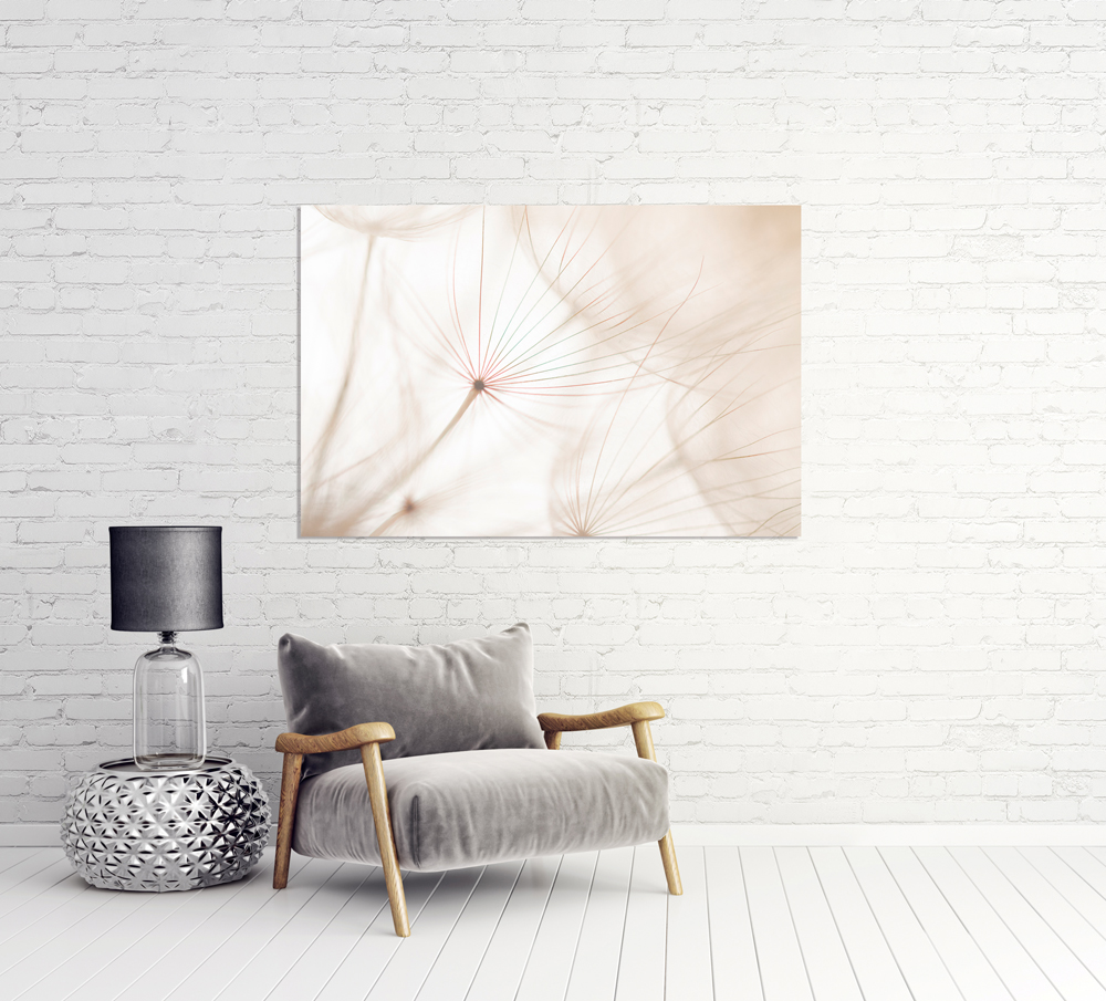 Alubild-Pusteblume 2-image LAND