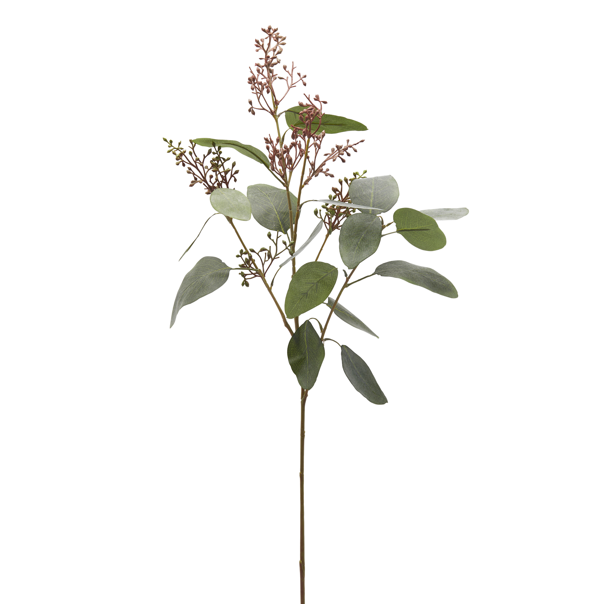 Edg Kunstblume Eucalyptus H: 97 cm  | Schubiger Möbel
