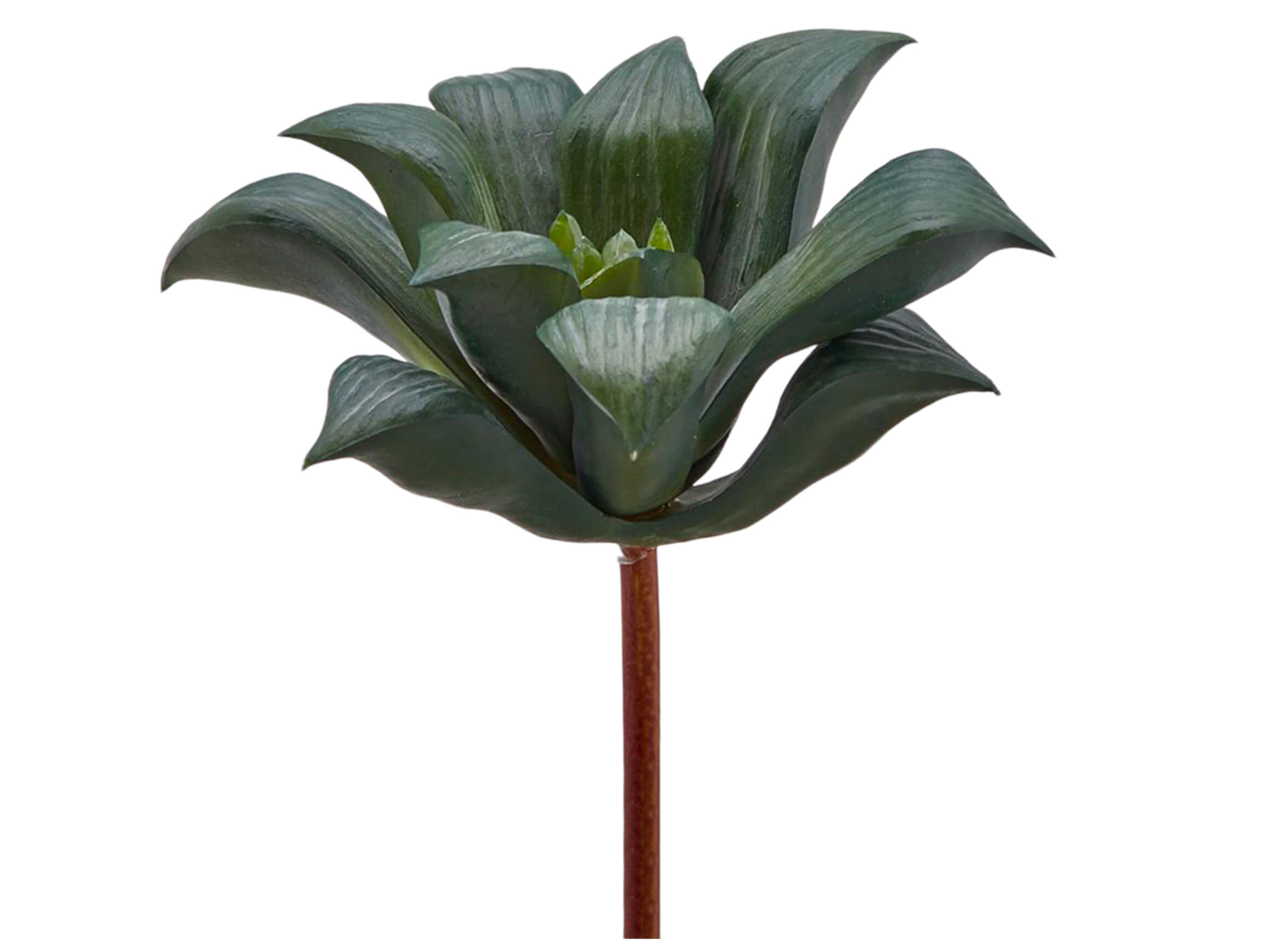 Edg Kunstblume Agave Klein Grau-Grün H: 16 cm Mehrfarbig | Schubiger Möbel