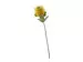 Kunstblume Protea Nuttan Gelb H: 60 cm Edg / Farbe: Gelb