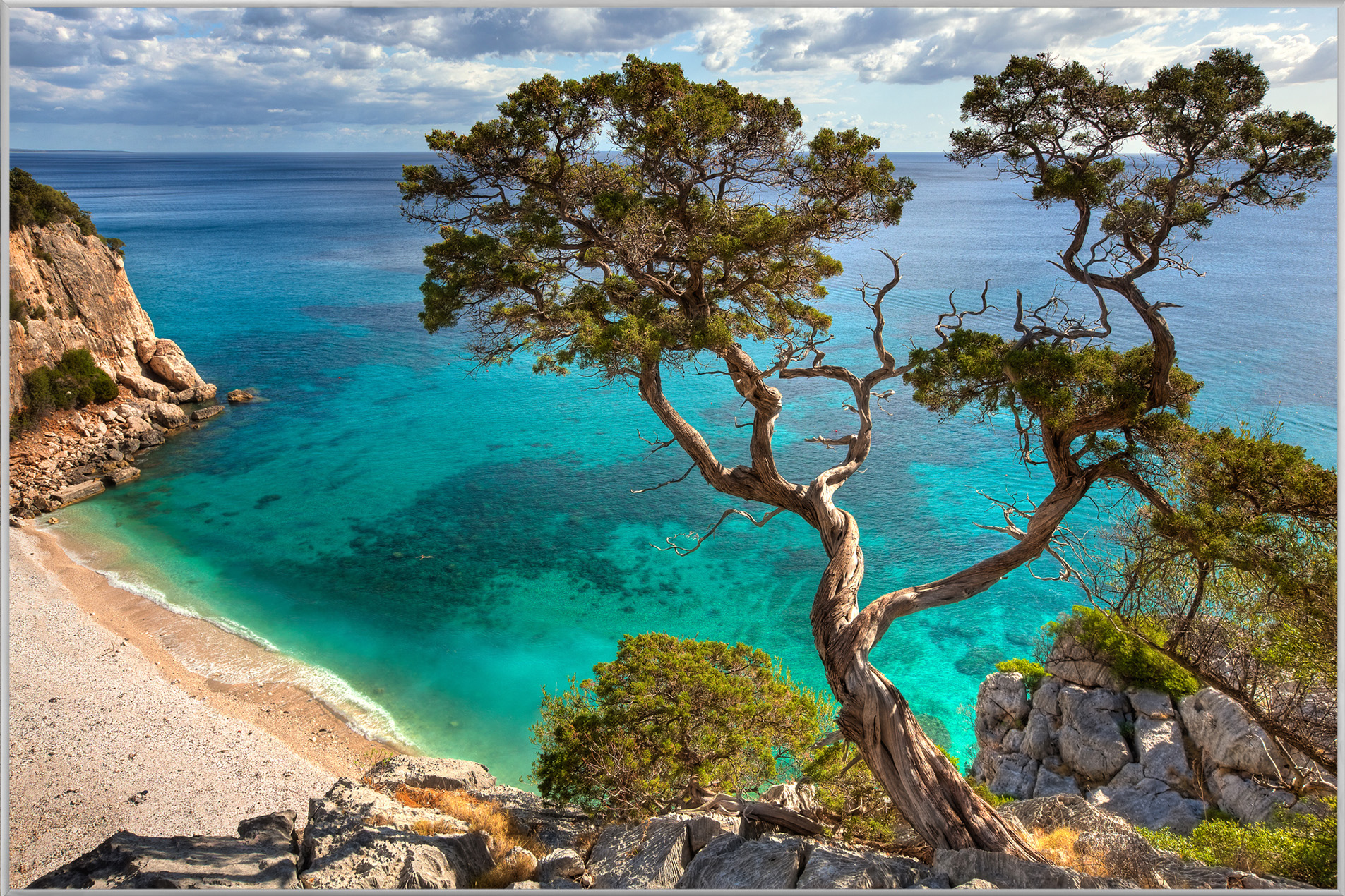 Bild mit Rahmen-Steilküste mit Baum-image LAND