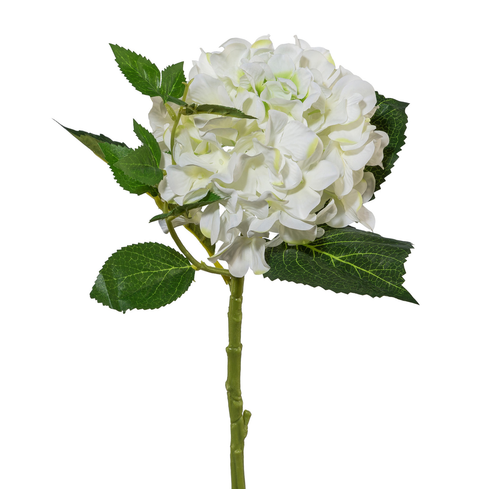 Gasper Kunstblume Hortensie, Weiss  | Schubiger Möbel