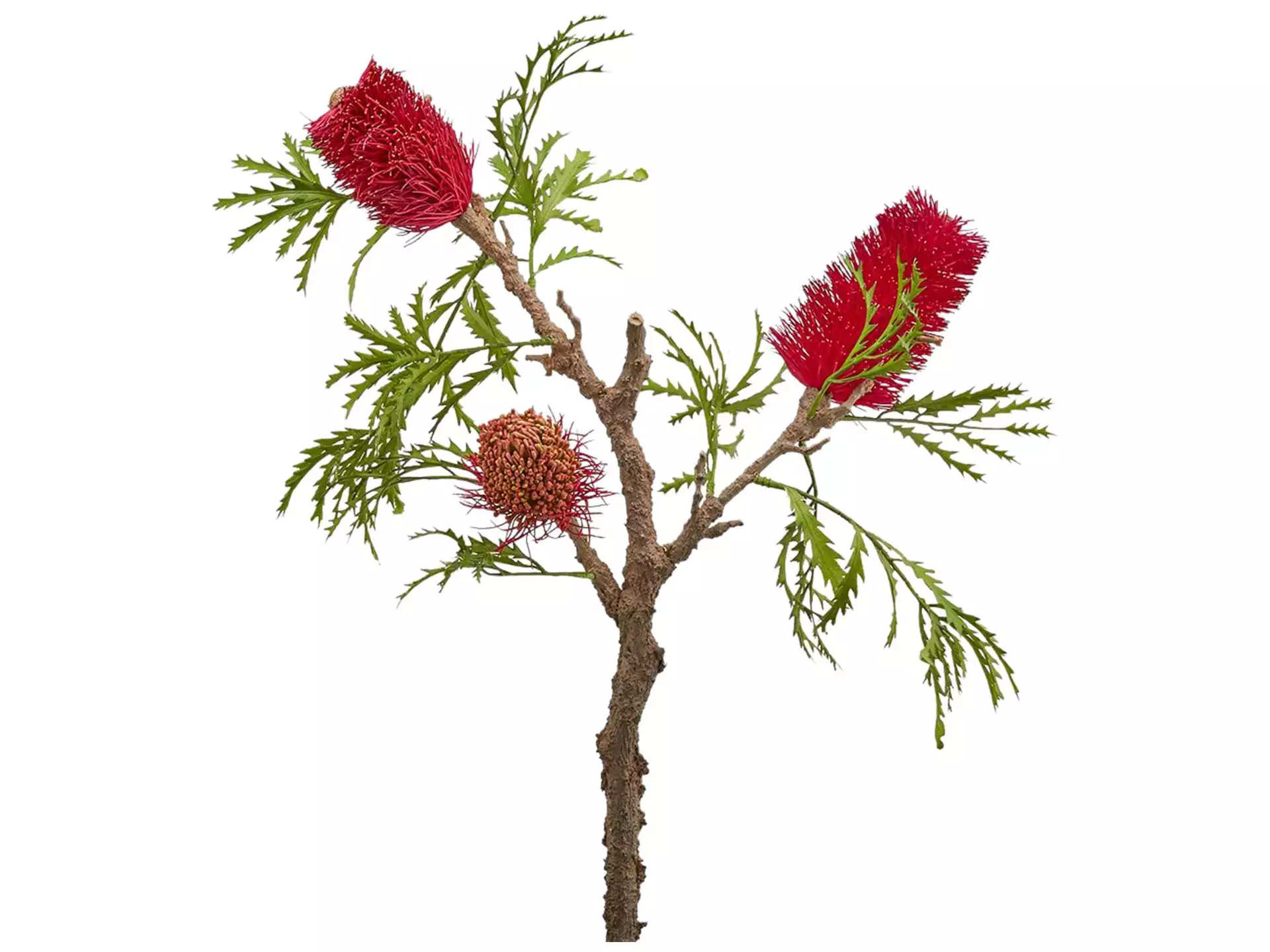 Protea Banksia Purple h: 84 cm Edg