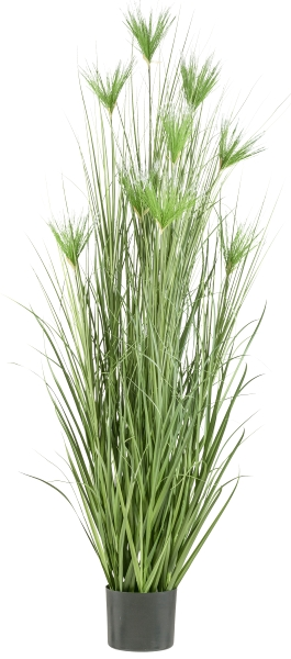Gasper Kunstpflanzen Cyperus Gras im Kunsstofftopf H: 210 cm  | Schubiger Möbel