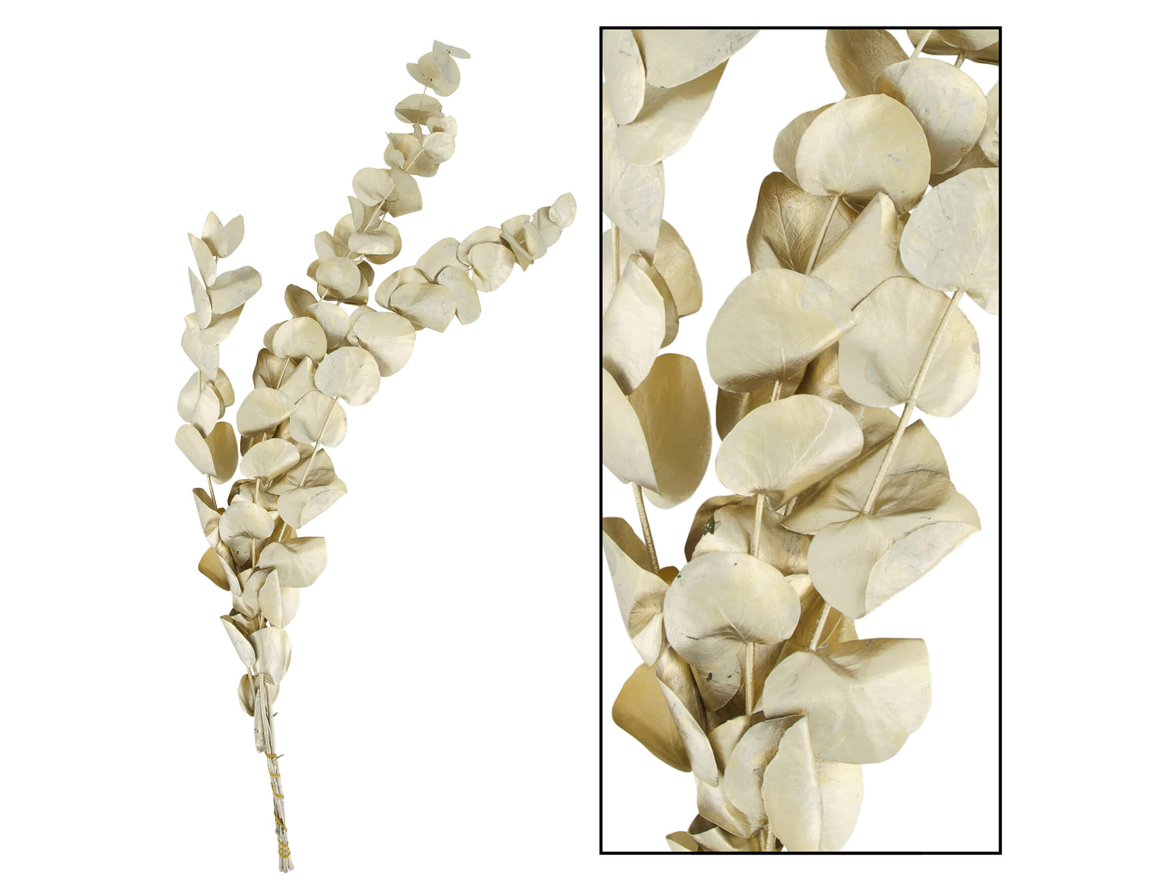 Decofinder Kunstpflanze Eukalyptus Gold H: 50 cm  | Schubiger Möbel