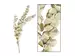 Kunstpflanze Eukalyptus Gold H: 50 cm Decofinder