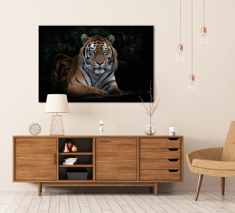 Alubild Imposanter Tiger image LAND