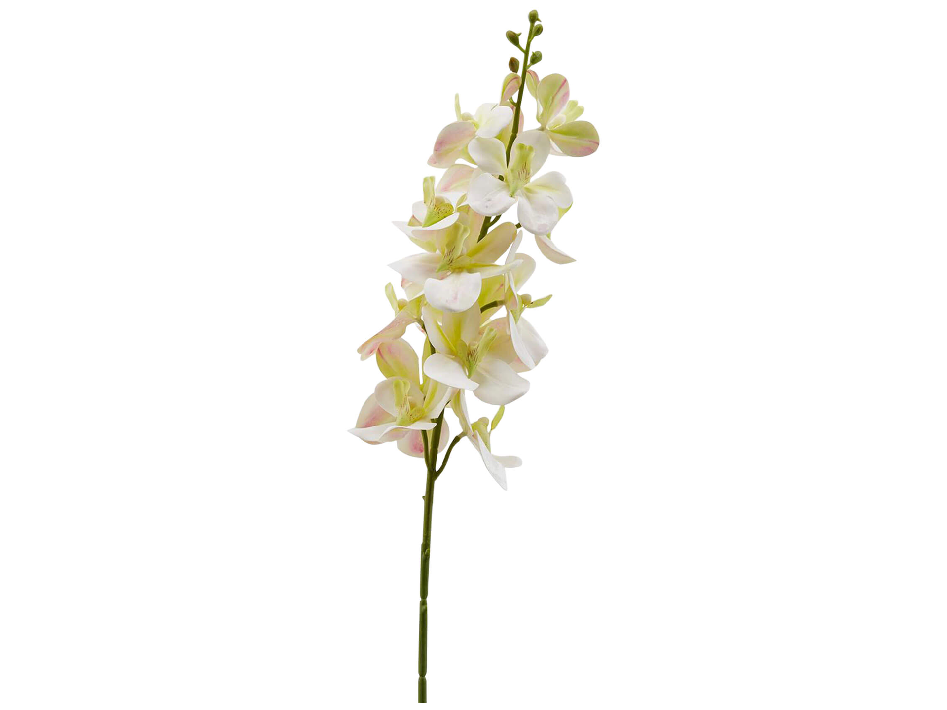 Kunstblume Orchidee Creme h: 67 cm von Edg Kunstblume Orchidee Creme h: 67 cm von Edg