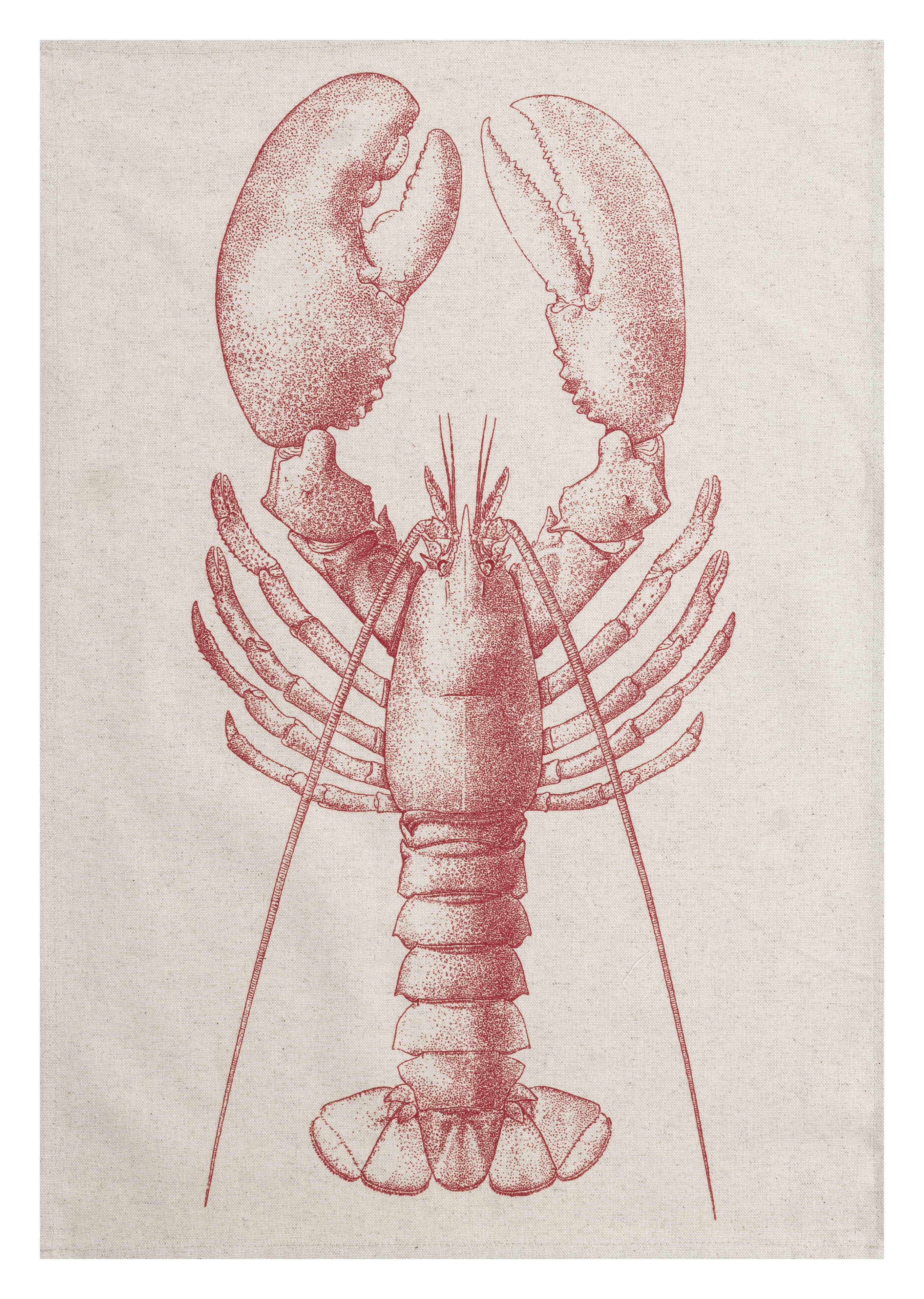 Geschirrtuch Sea Breeze Lobster B: 50 cm Magma