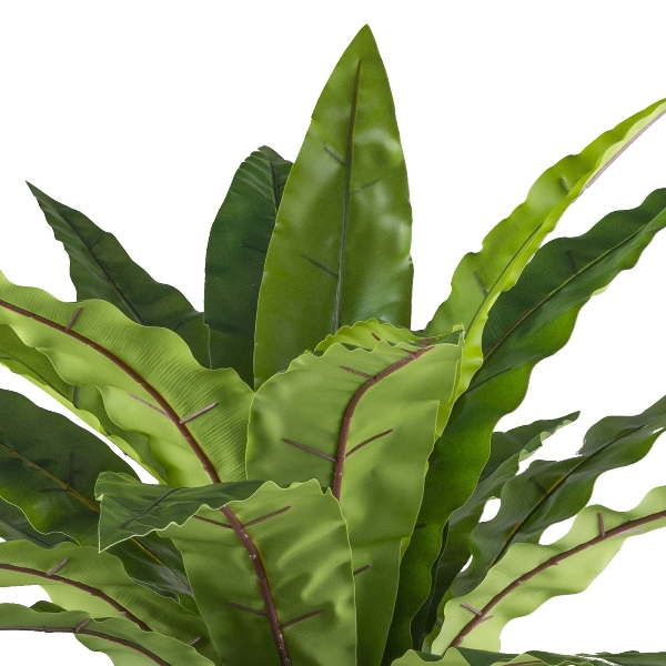 Kunstpflanzen Asplenium im Metalltopf Auf Metallrack H: 105 cm Gasper