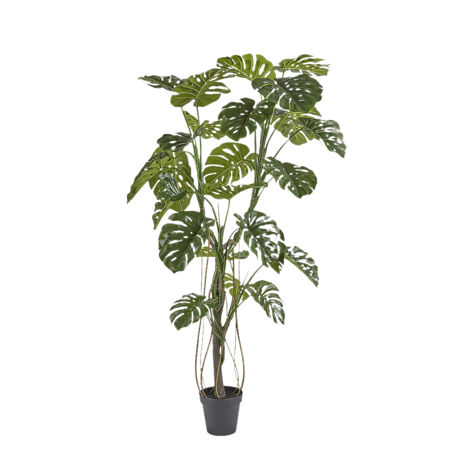 Plante artificielle Monstera H : 210 cm Edg