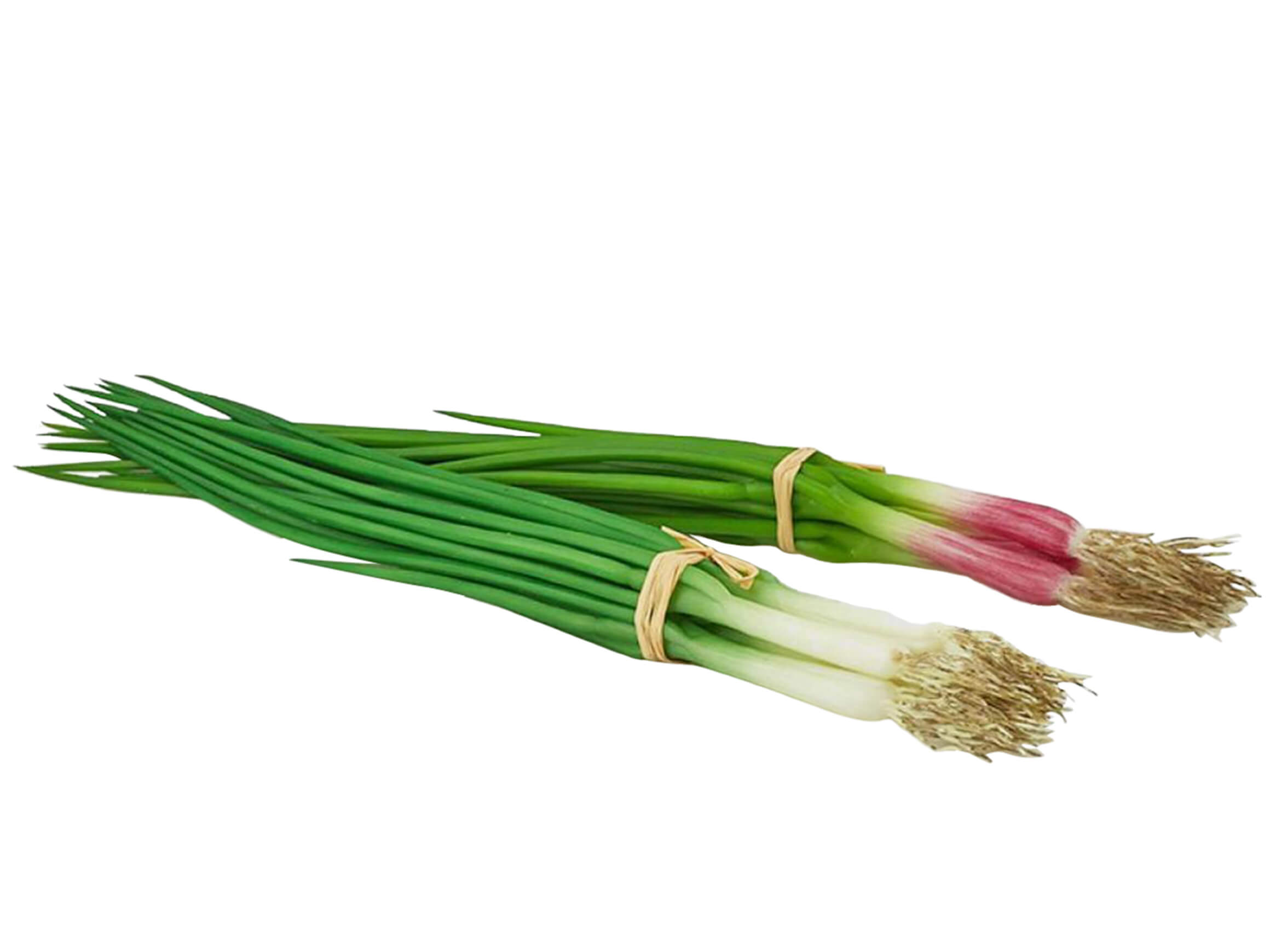 Edg Kunstblumen Frühlingszwiebel Fein H: 30 cm  | Schubiger Möbel