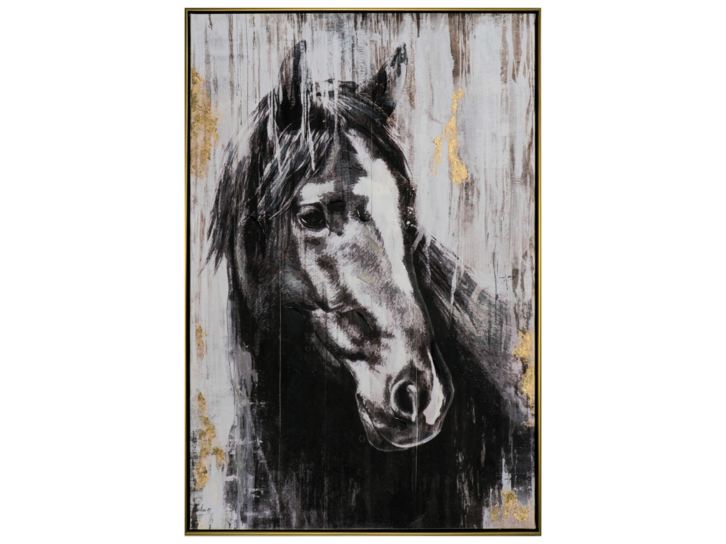 Bild Schwarzes Pferd image LAND