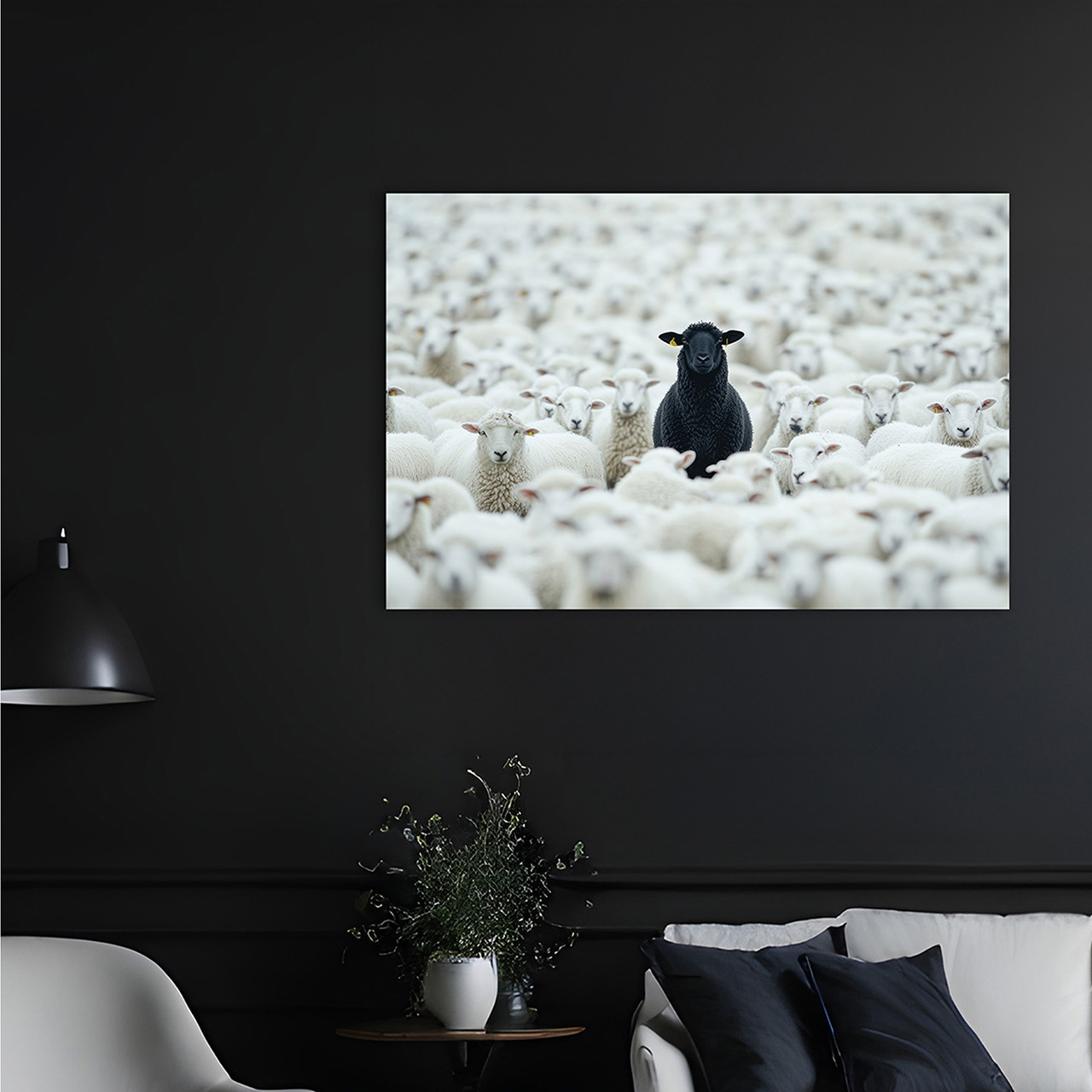 Canvas-Black Sheep-image LAND