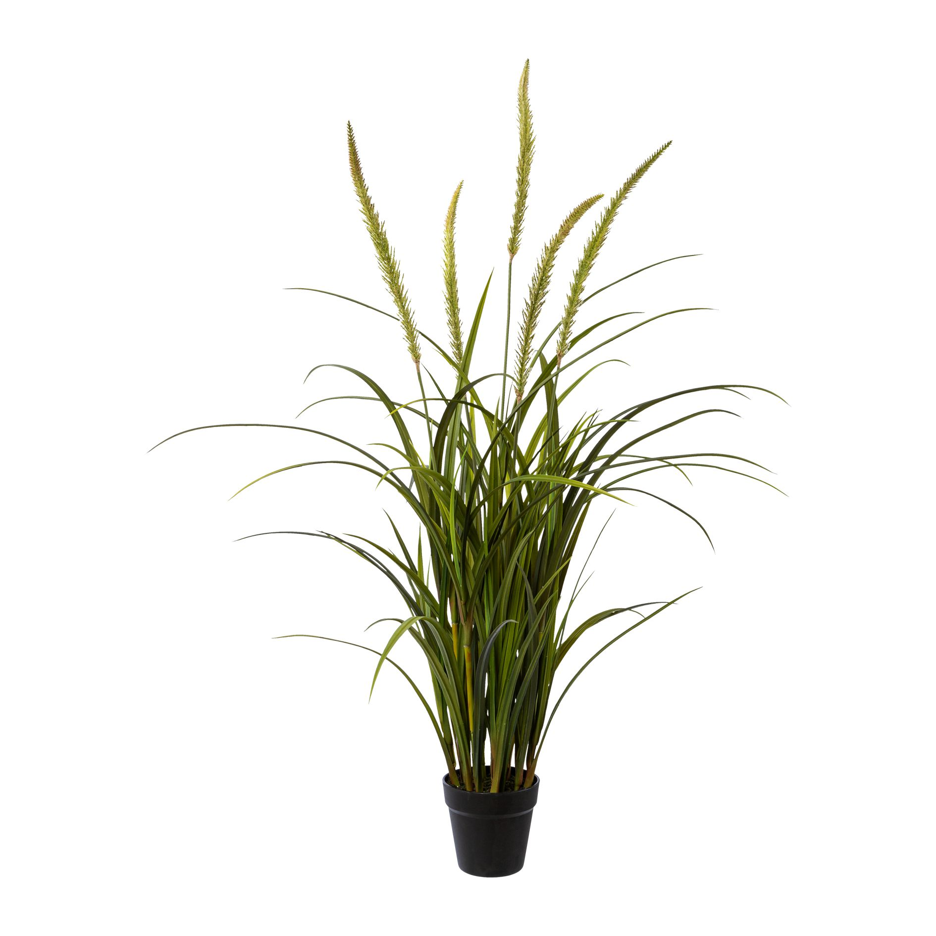 Gasper Kunstpflanze Miscanthus im Topf  | Schubiger Möbel