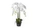 Kunstpflanze Orchidee Weiss im Topf H: 90 cm Gasper / Farbe: