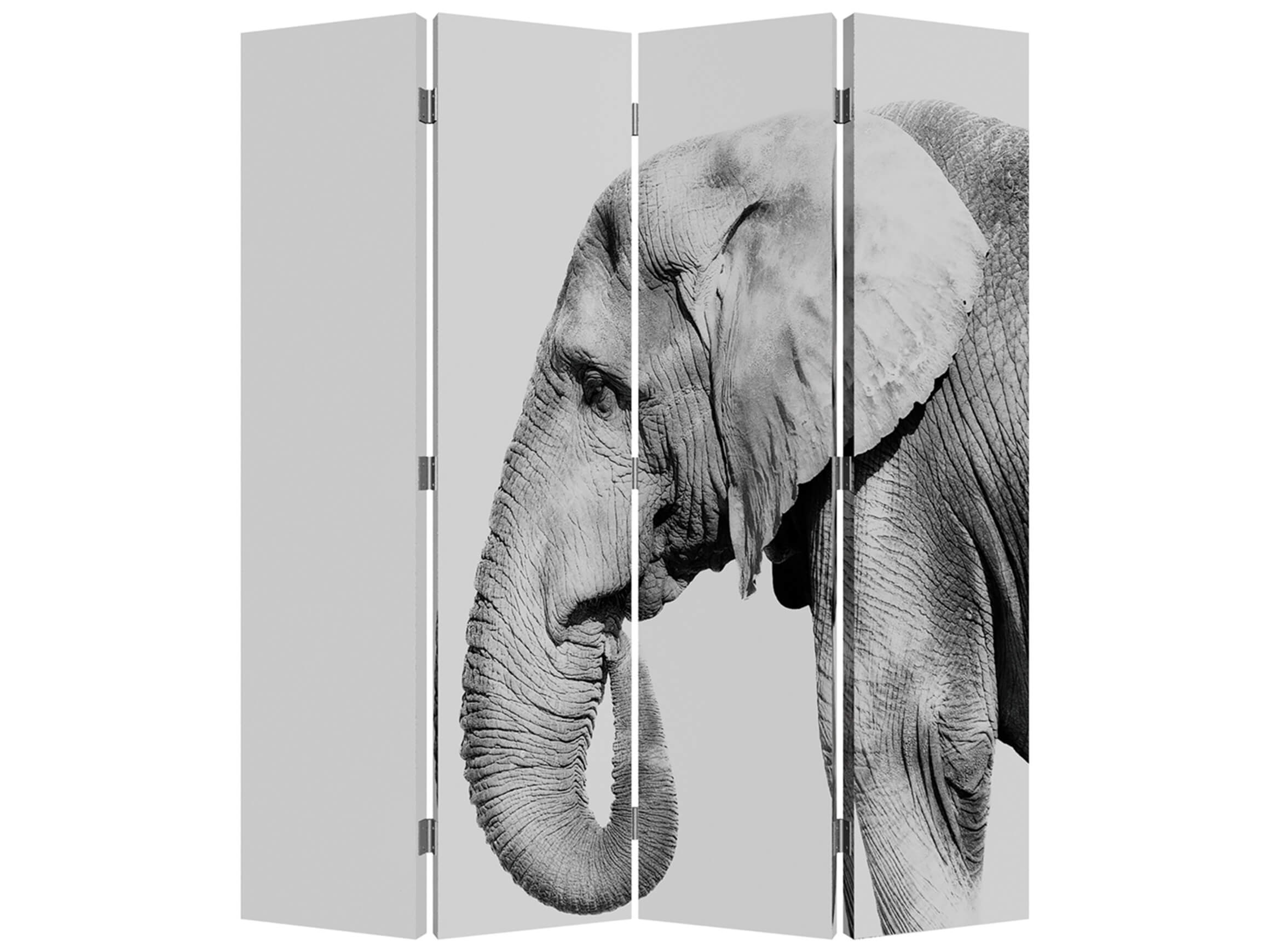 Paravent Safari Wendemotiv image LAND / Grösse: 180 x 160 cm