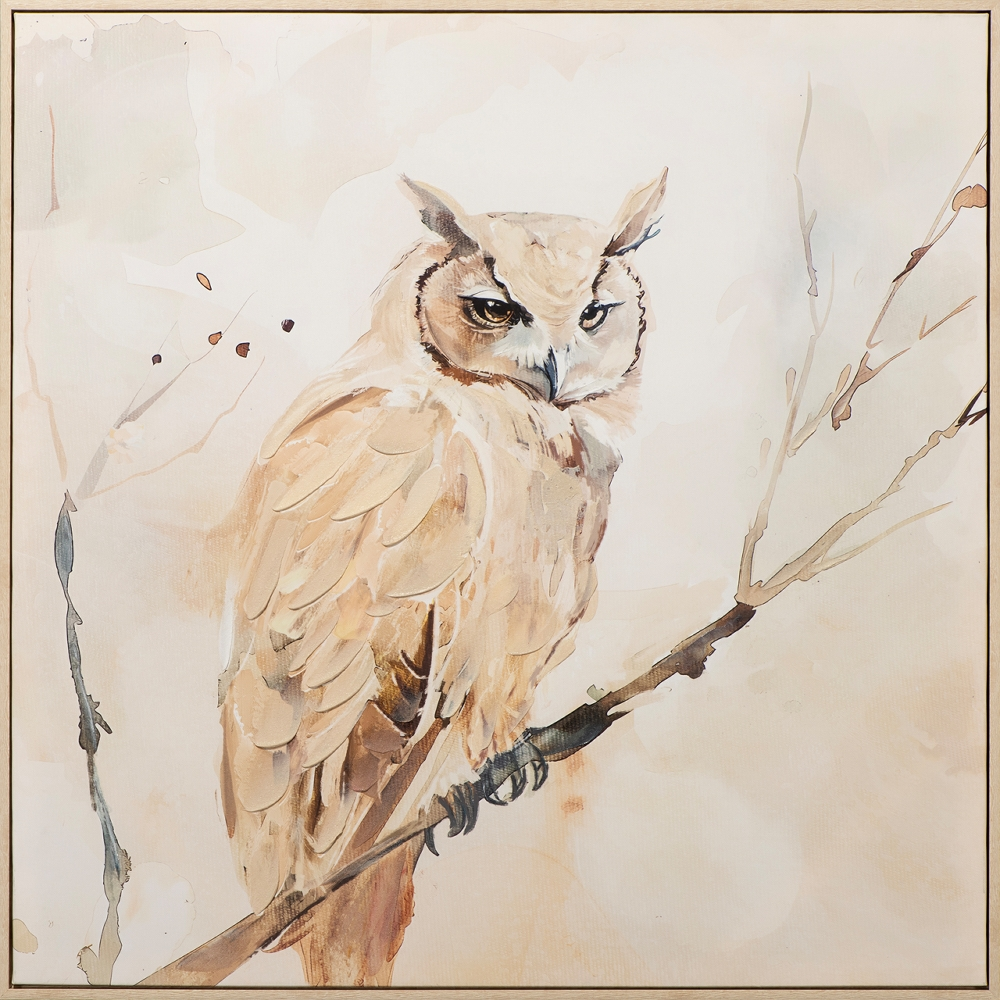 image LAND Bild Natural Owl  | Schubiger Möbel