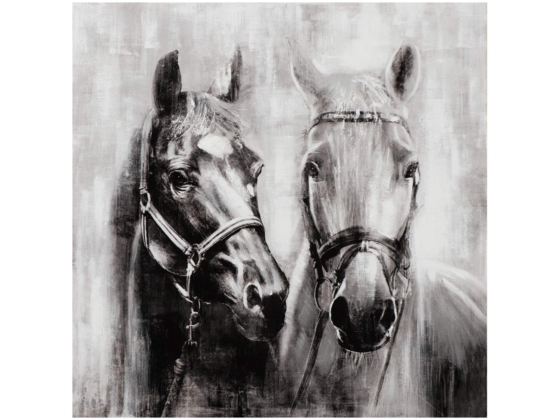 Bild Pferde in Schwarz-Weiss image LAND