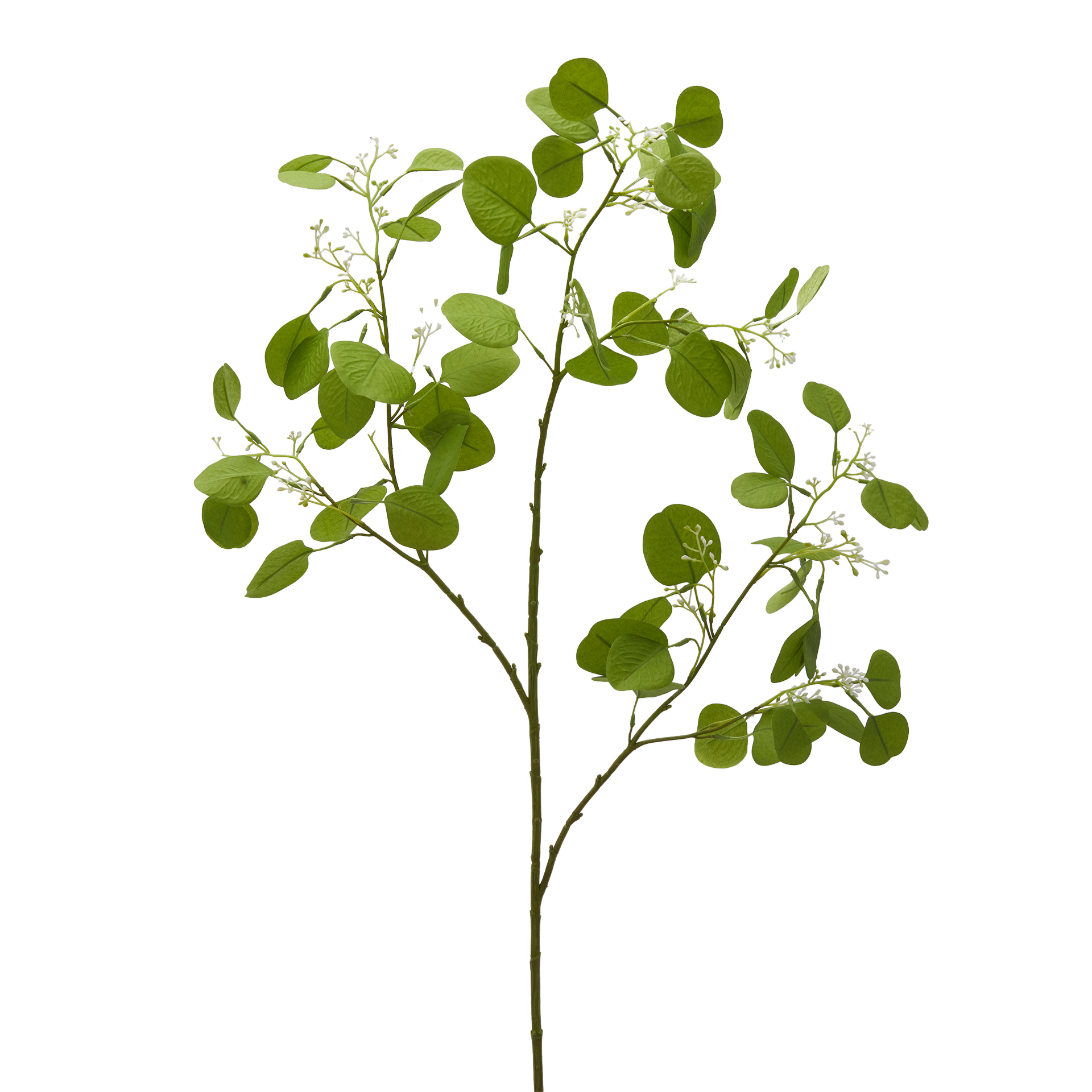 Edg Kunstblume Eucalyptus Grün H: 110 cm Grün | Schubiger Möbel