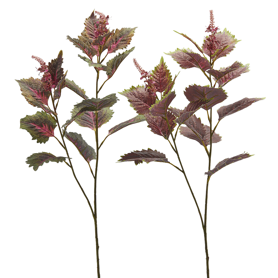 Edg Kunstblumen Buntnessel Ass.grün Rosa H: 85 cm  | Schubiger Möbel