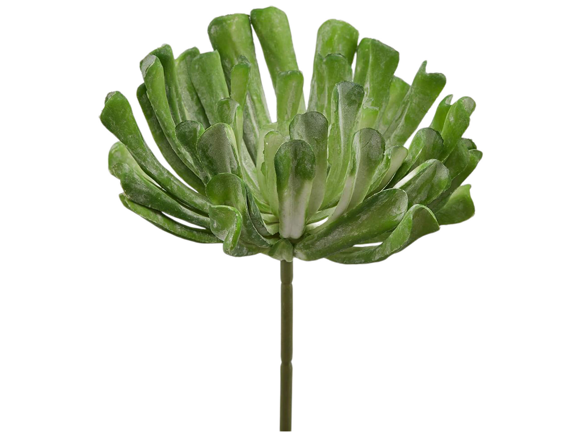 cassiesplantfulness - gehaakte luxe hippe bloempot plantenpot 12 cm cassiesplantfulness - gehaakte luxe hippe bloempot plantenpot 12 cm