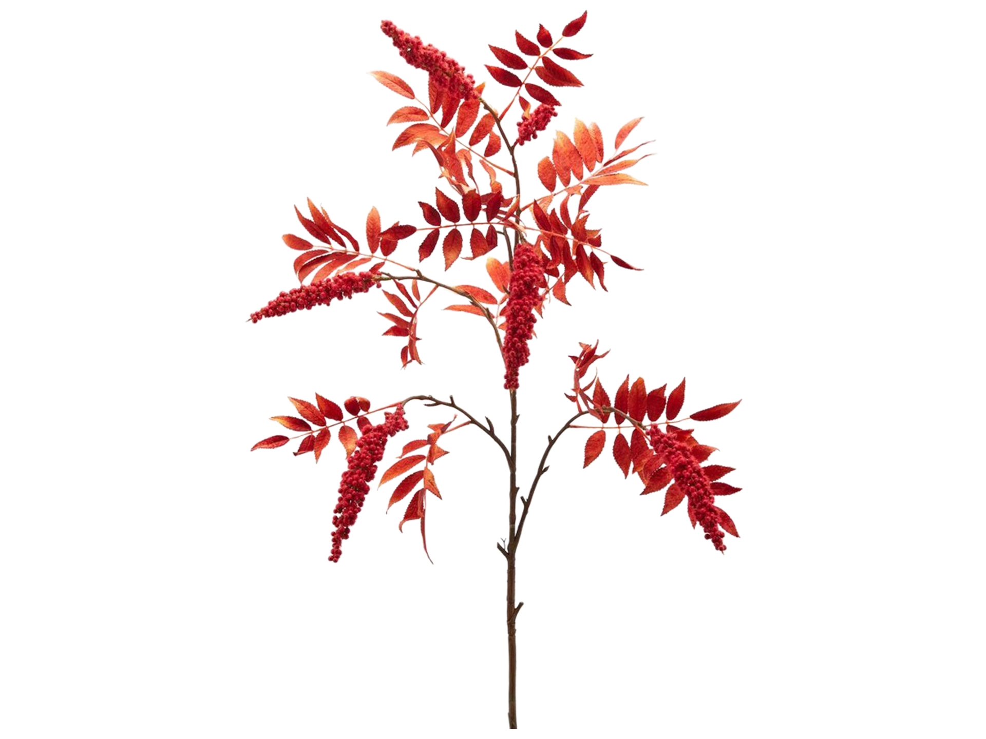Kunstblumen Hirschkolben Rot H: 24 cm Edg