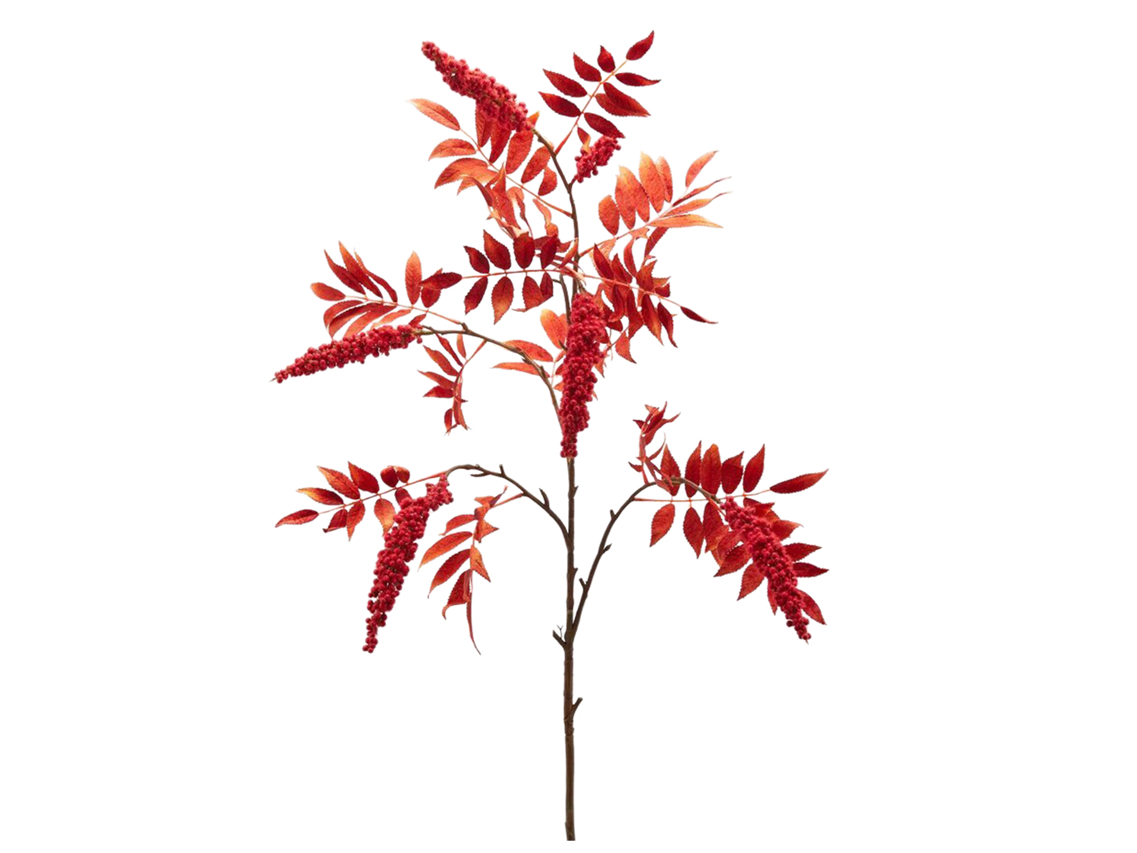 Kunstblumen Hirschkolben Rot H: 24 cm Edg