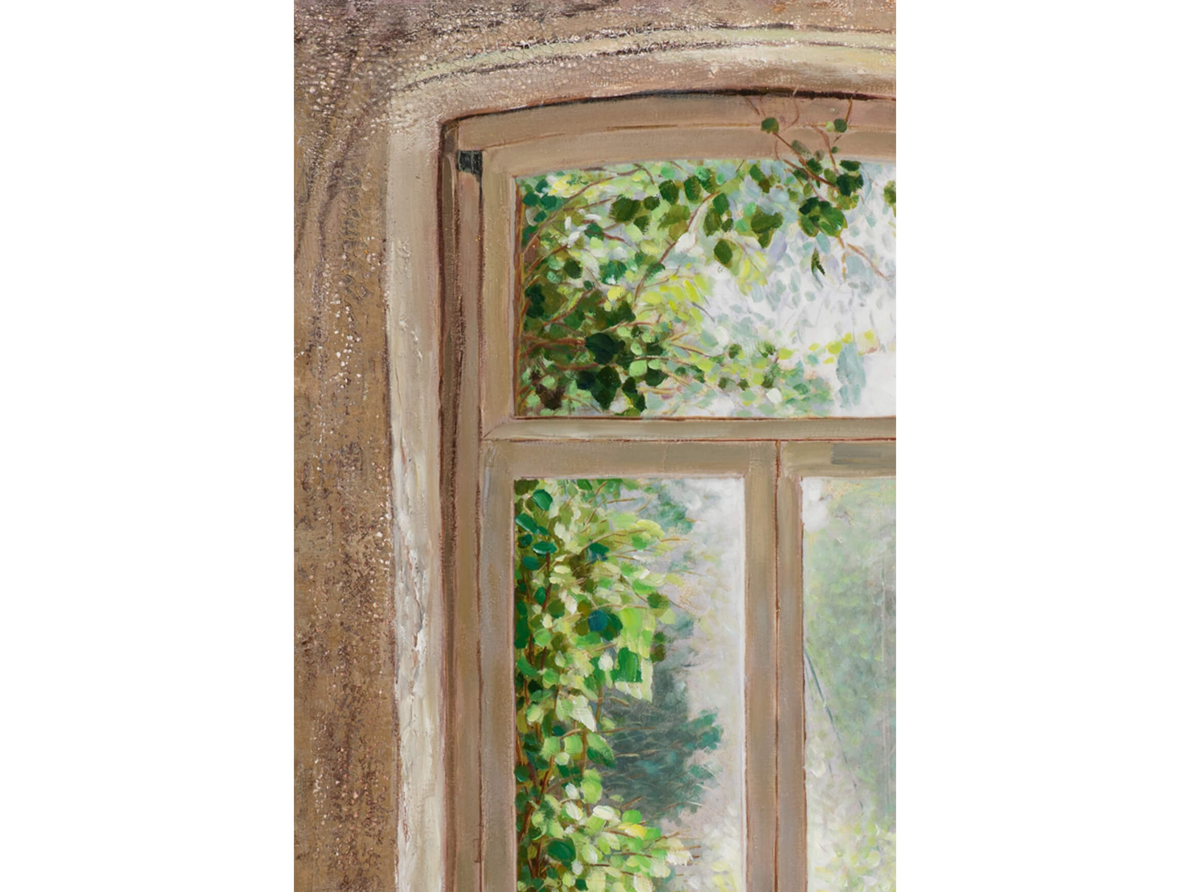 Bild Altes Überwuchertes Fenster image LAND